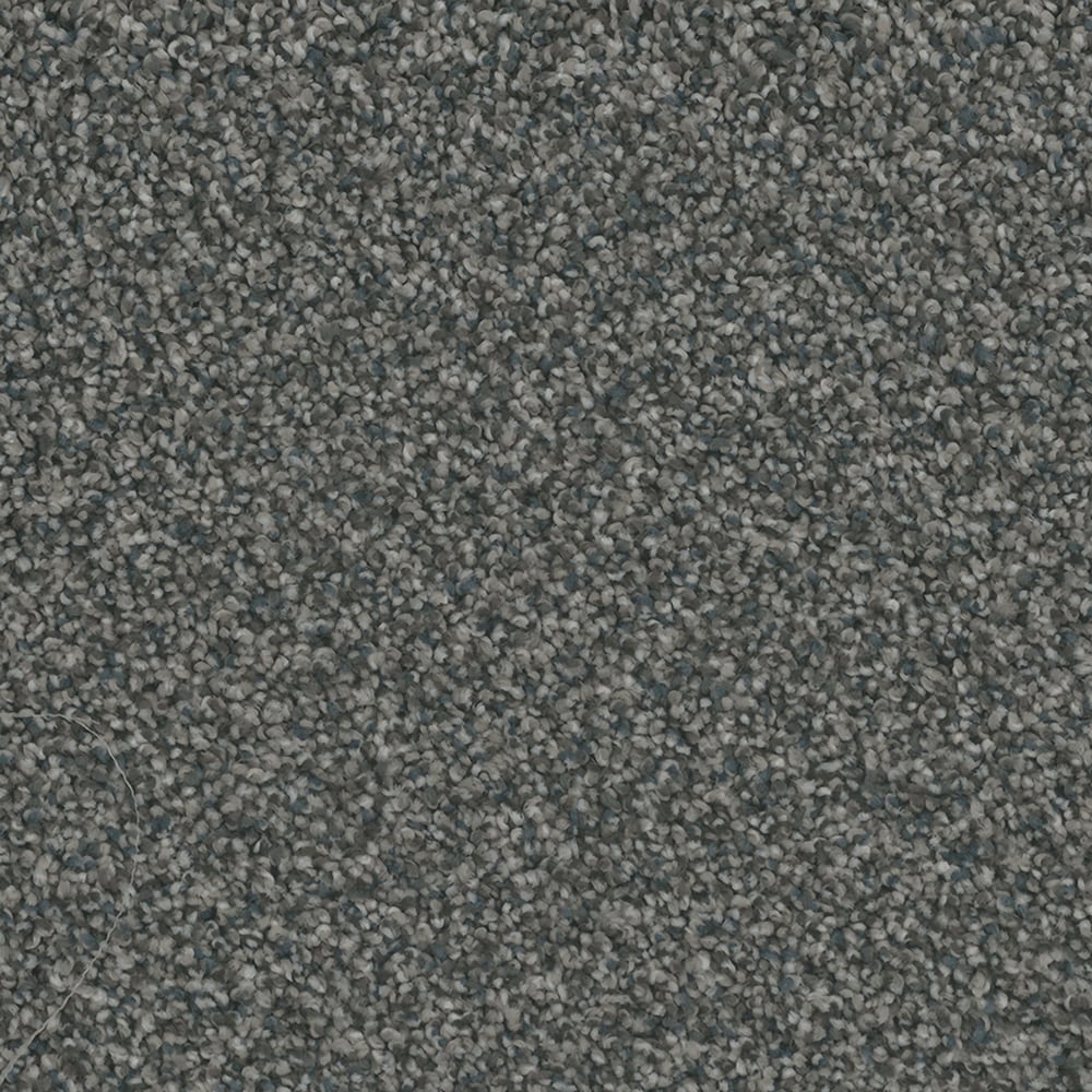 STAINMASTER PetProtect (Sample) Santa Rosa Charming Gray 54-oz sq yard ...