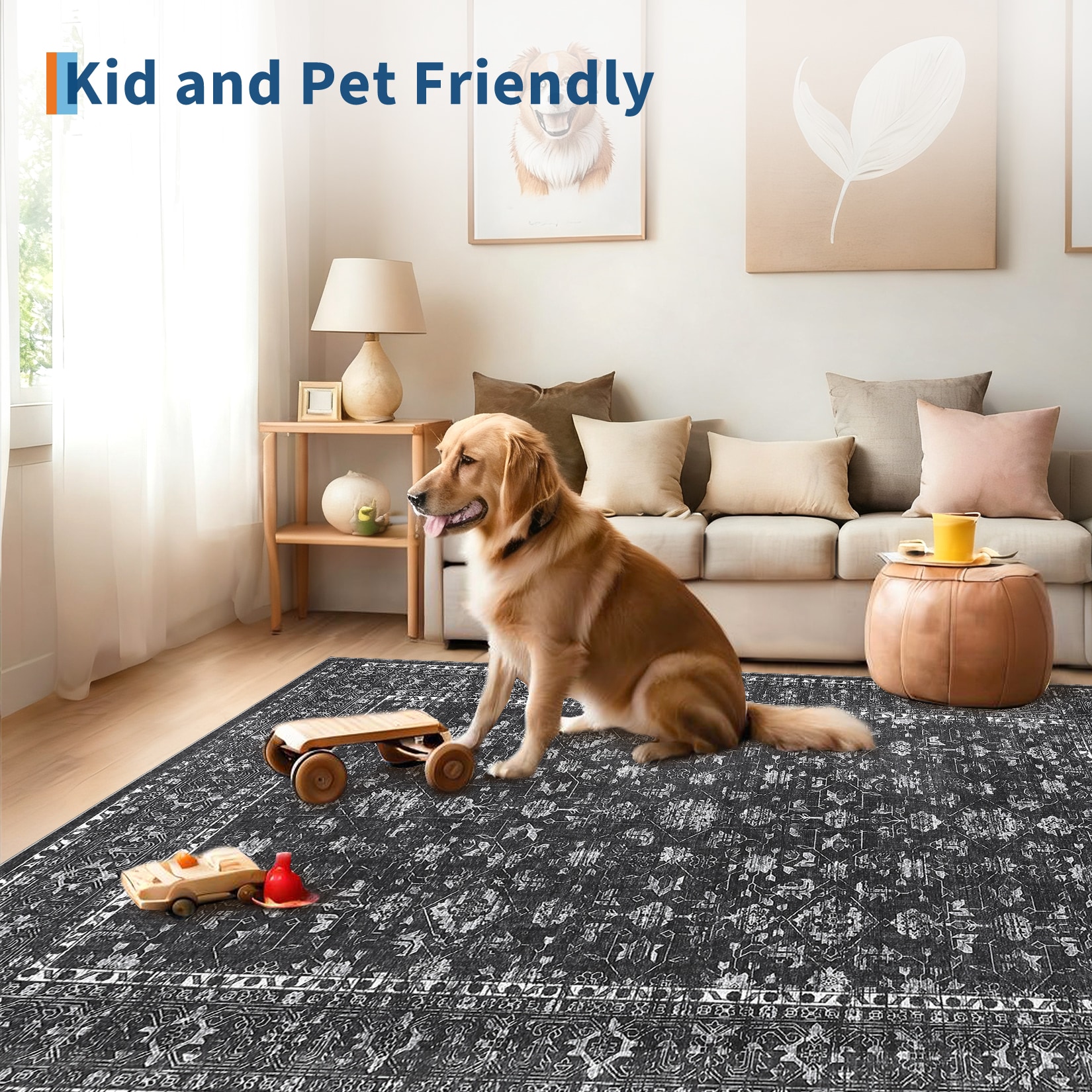 Qeetex SUNNY-PHK-36MU457F rugs - View #8