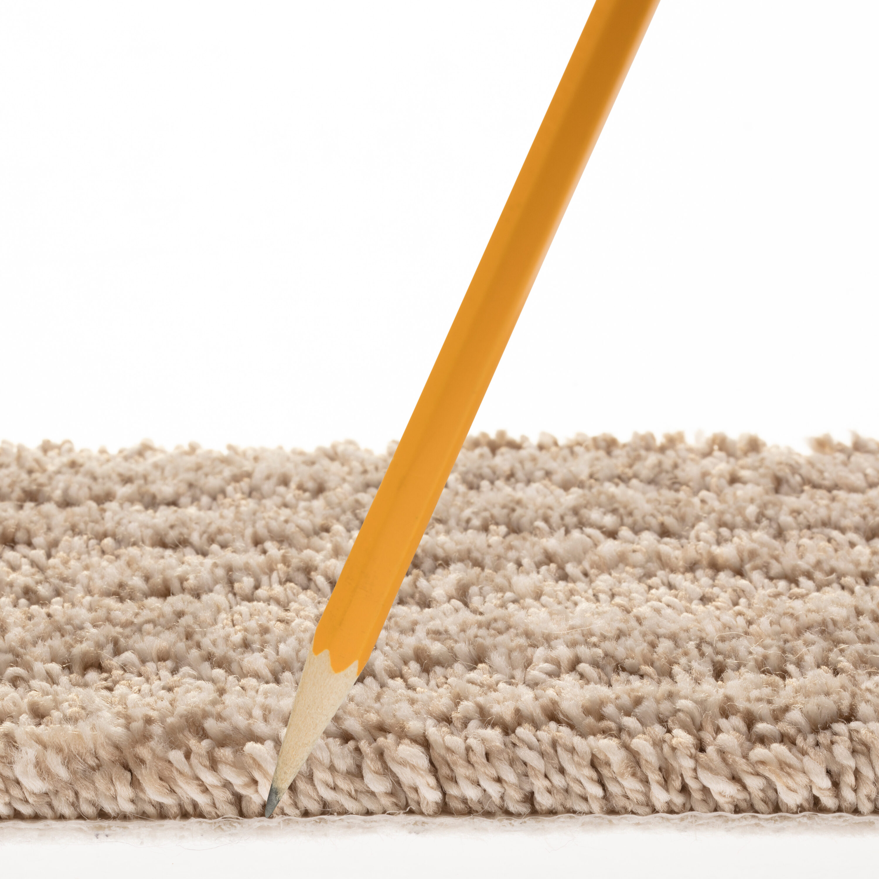 STAINMASTER 7L889 - 109 - SAMP Carpet-Samples - View #7