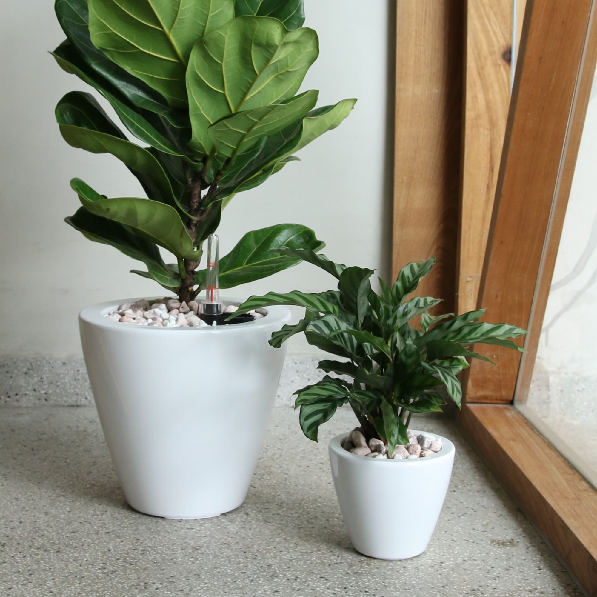 Yiekholo LL-1664AA 2 -Pack Round 10.2-in W Medium White Polyrattan Indoor/Outdoor Planter with Drainage Holes with Self Watering