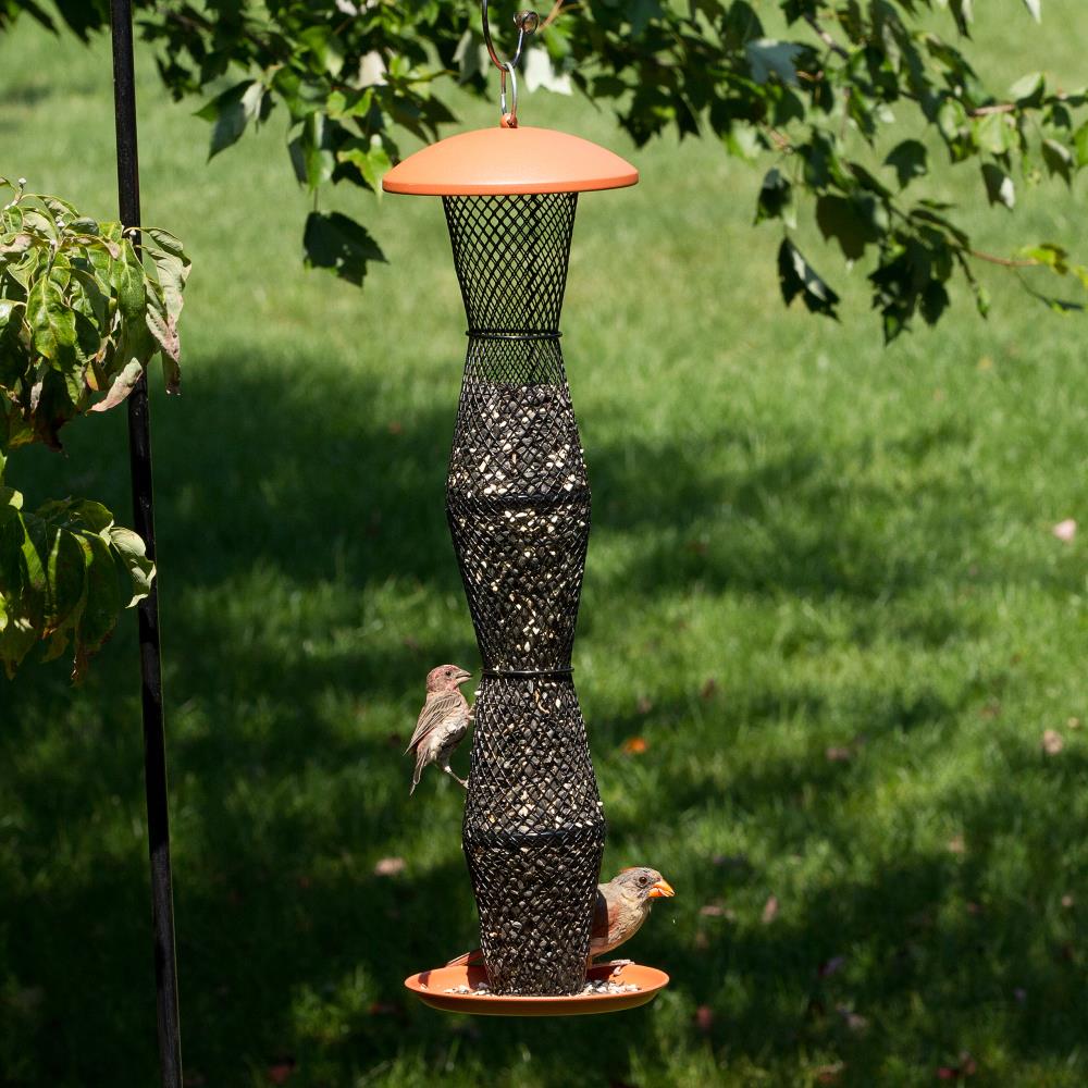 No/No Wild Bird Feeders TCB5S00342 Bird-Feeders - View #6