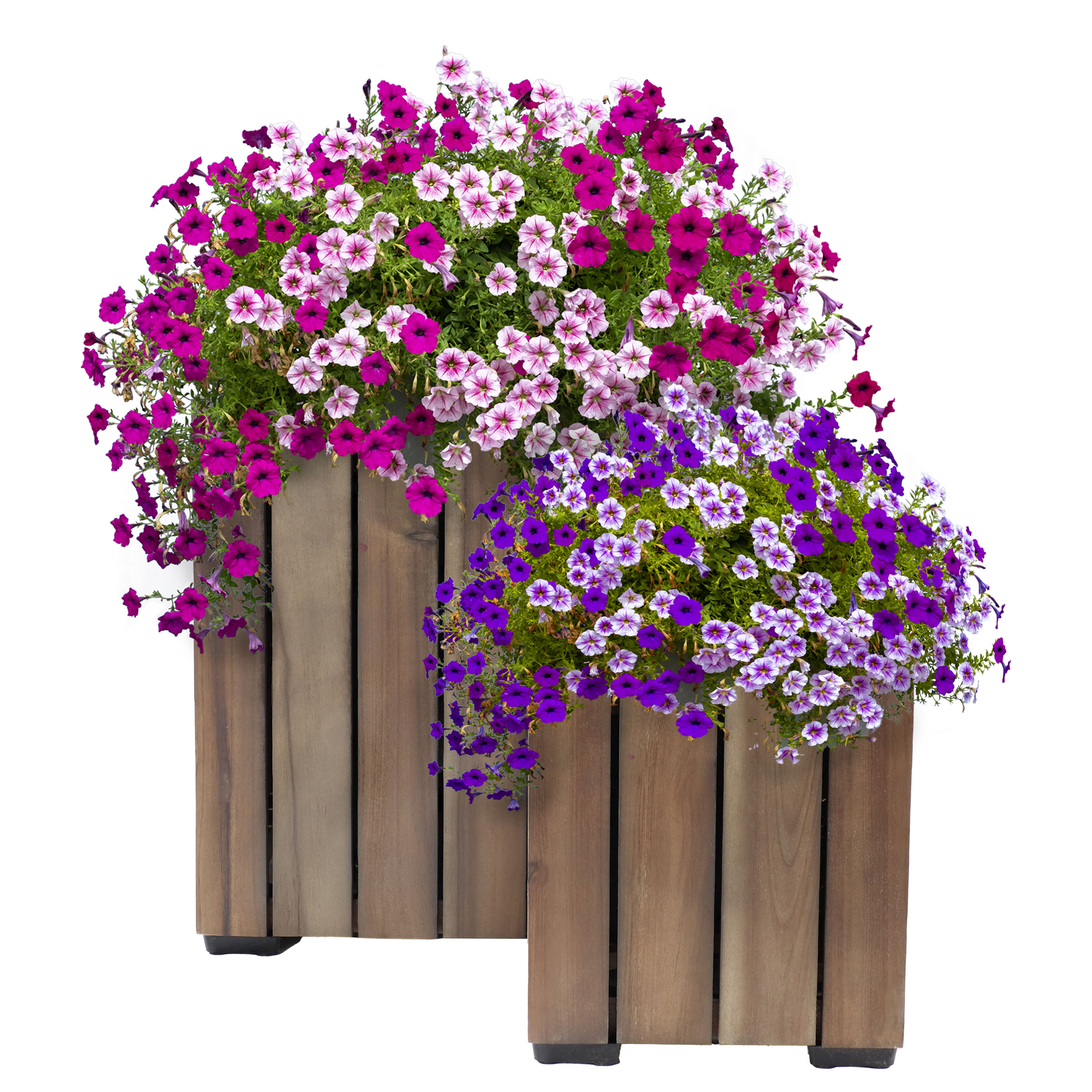 Sunnydaze Decor TAM-369 2 -Pack Square 10.5-in W Medium Gray Wood Indoor/Outdoor Planter