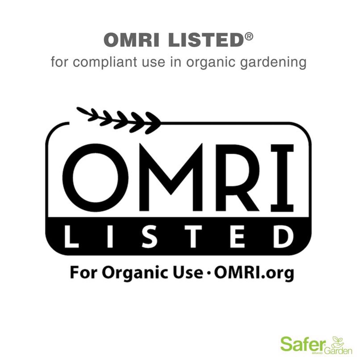 Safer Brand Neem Oil Organic Insect Killer Liquid 24 oz Case of 6 in ...