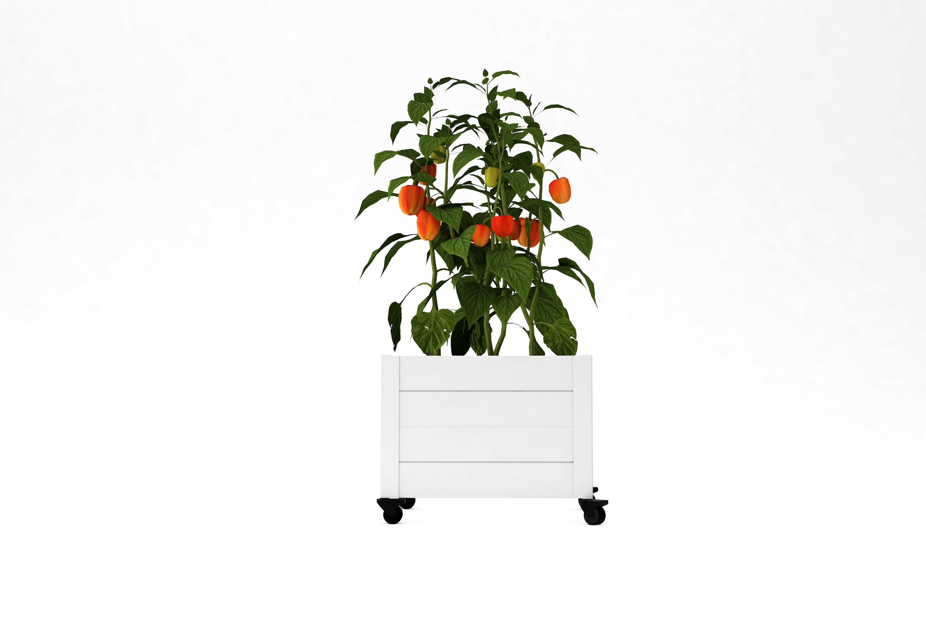 Vita VT17129 Planter-Window-Box - View #7