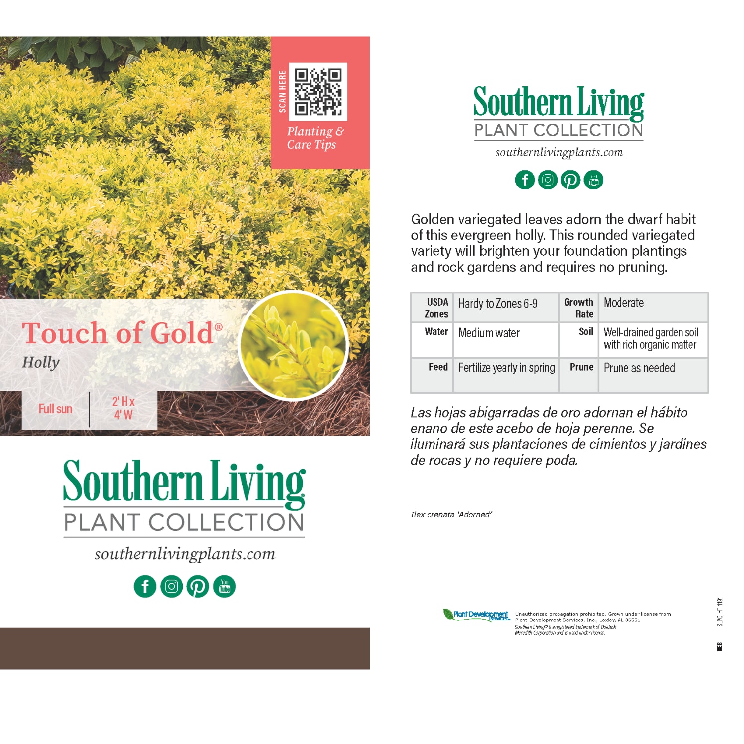 Southern Living Plant Collection 30612-1 shrubs - View #9
