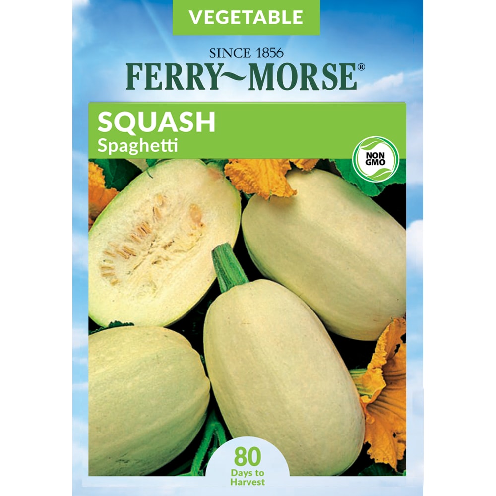 Ferry-Morse 915089.219.642701 Squash Spaghetti Vegetable Vegetable Seeds 3 Gram(s)