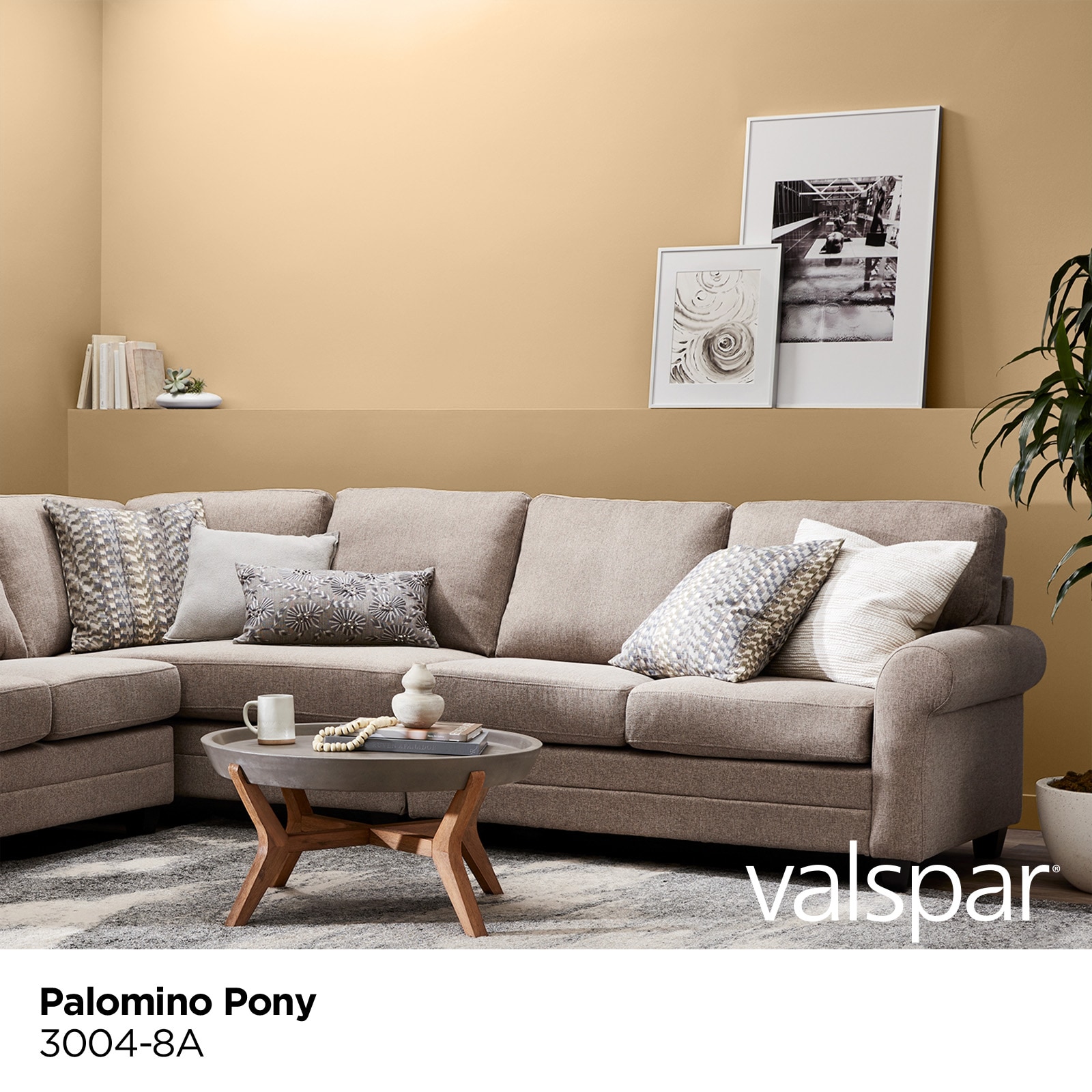 Valspar 3004-8A-2916577 Int-Ext-Paint - View #2