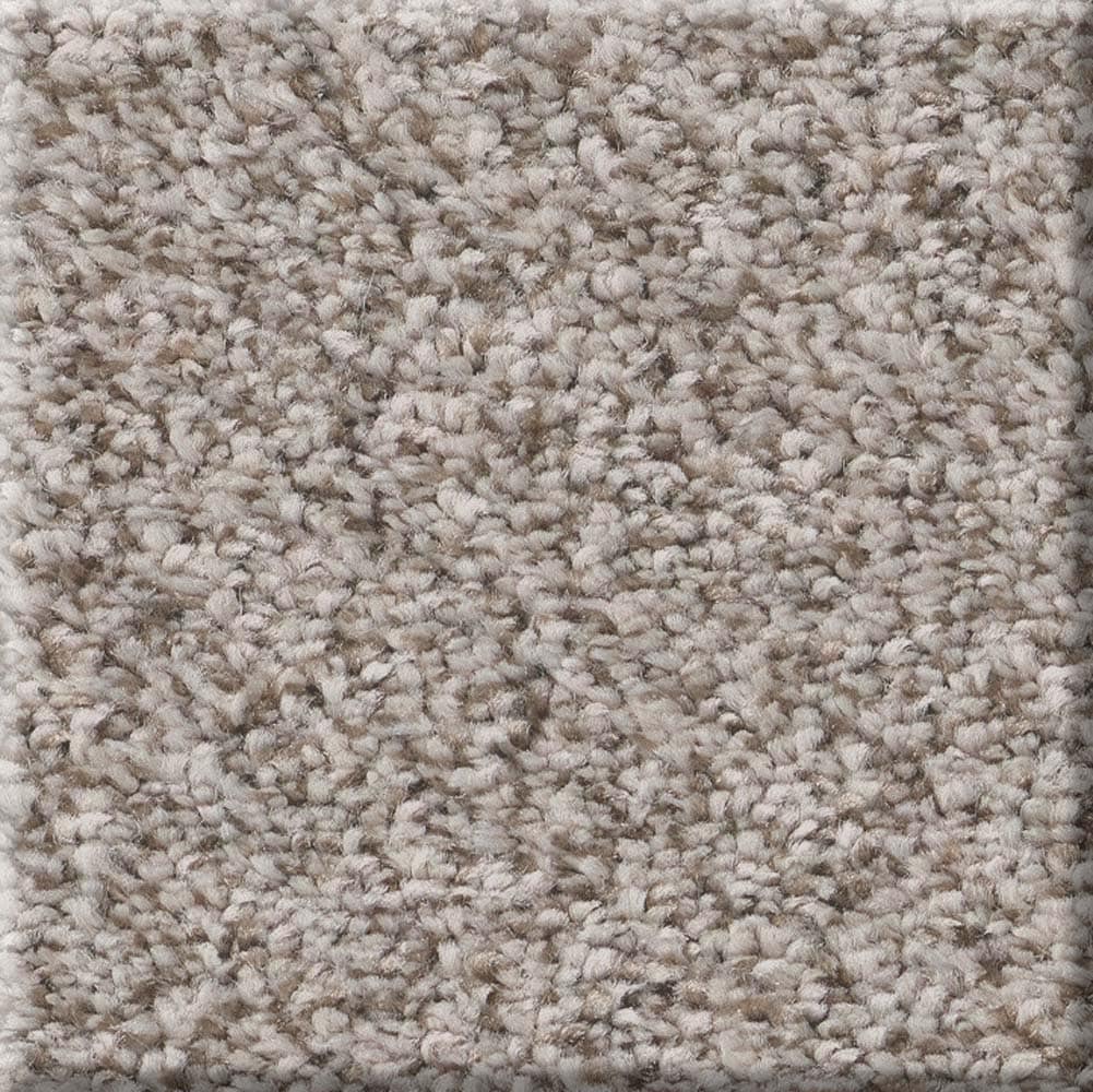 STAINMASTER 7L85500720 Welcome Retreat I Pebble Brown 43.9-oz sq yard Polyester Textured Indoor Carpet