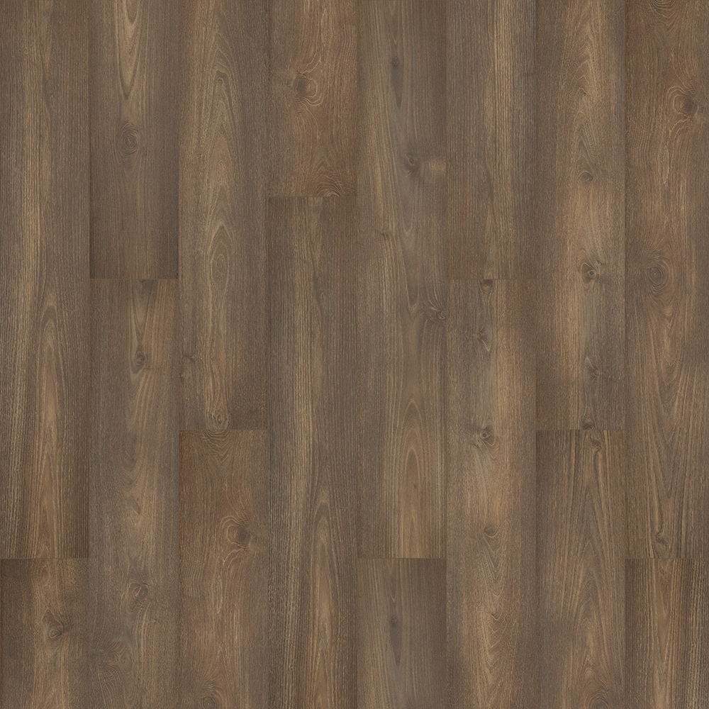 Pergo LF001135 Pro +WetProtect Mordecai Acacia 10-mm T x 7-1/2-in W x 47-1/4-in L Waterproof and Water Resistant Wood plank Laminate Flooring ( 27.00-sq ft / Carton )