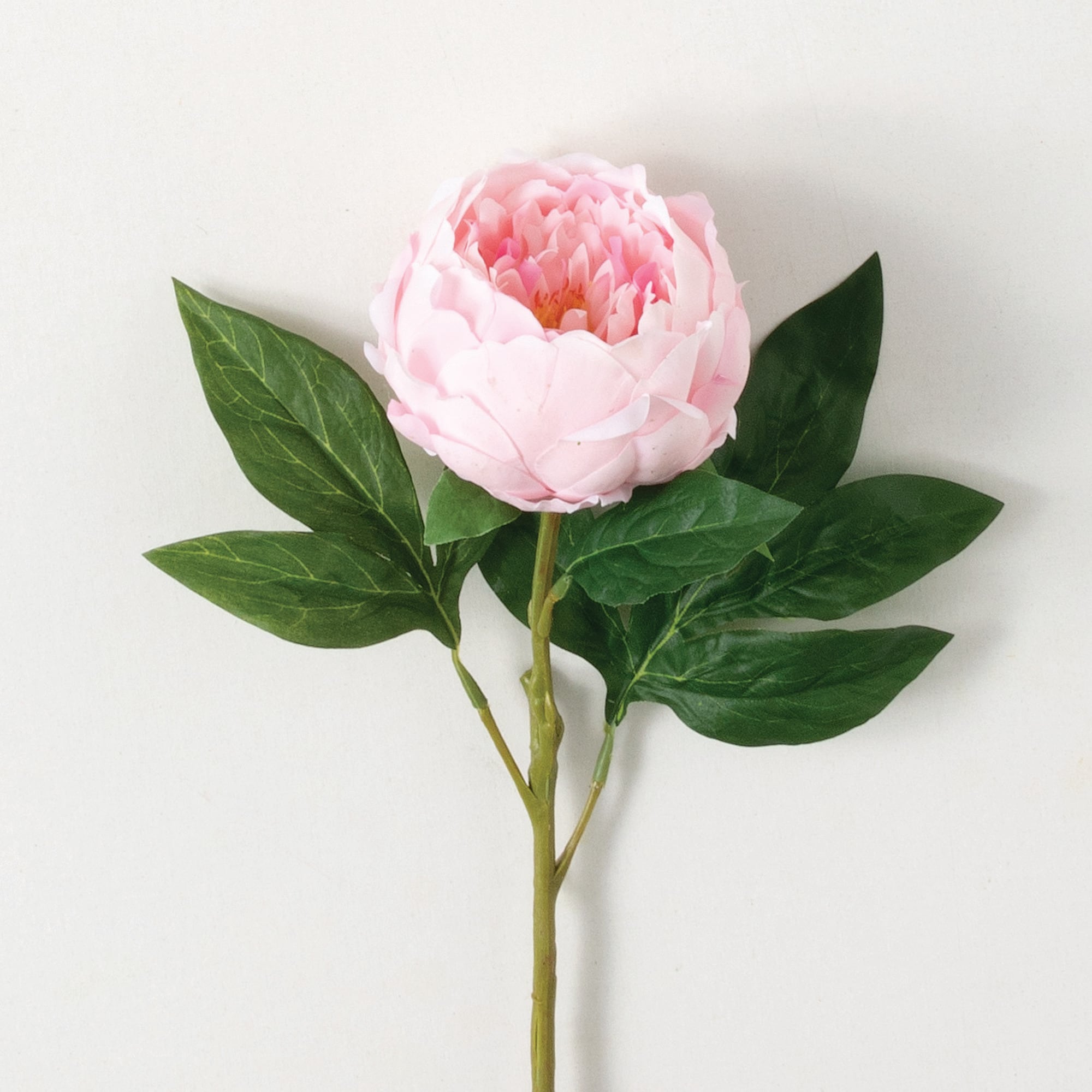 Sullivans GA1714 PI 24-Inches Pink Indoor Desktop Peony Artificial flower