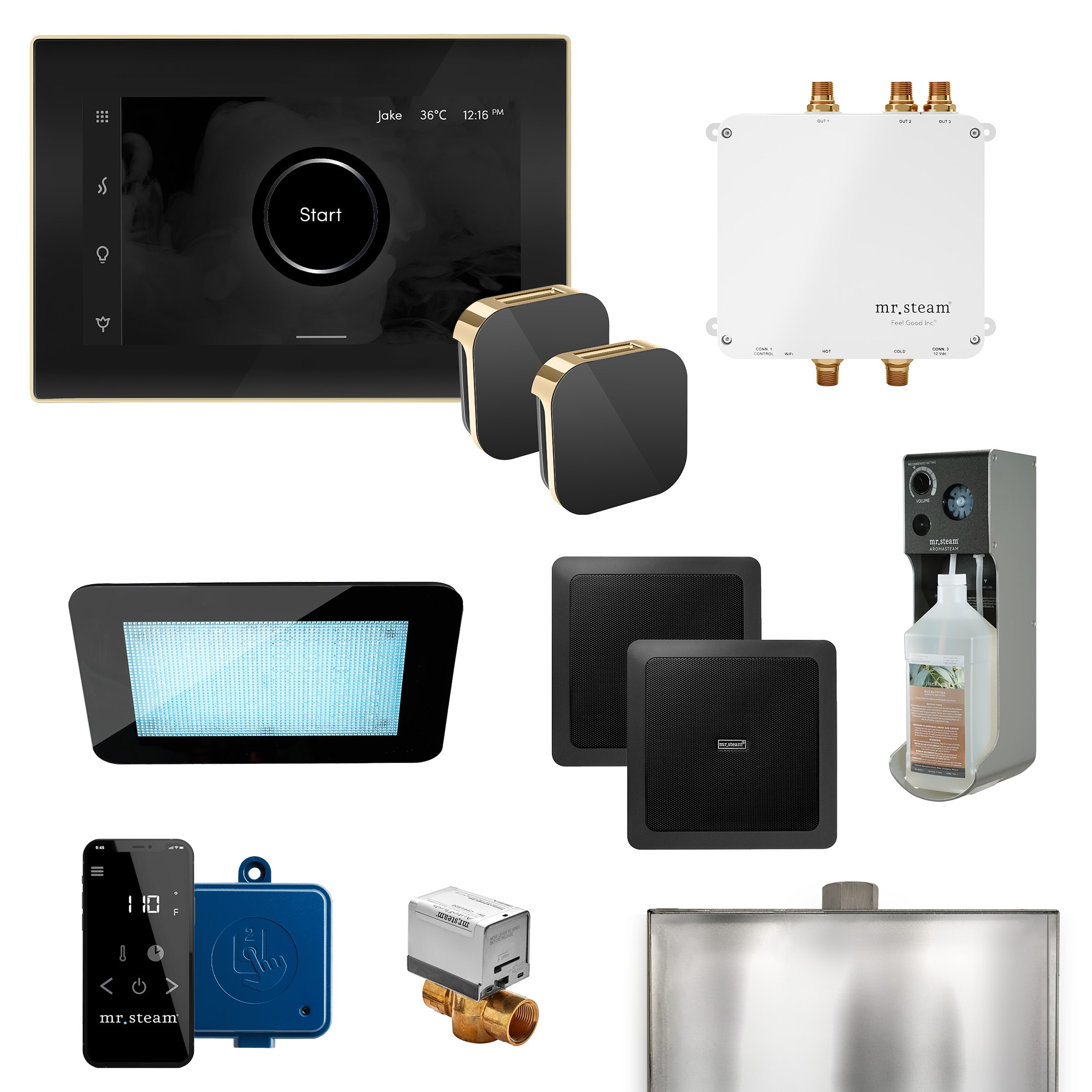 Mr. Steam BLS-WHLSB Bliss Linear 600-Watts Satin Brass Steam generator control kit