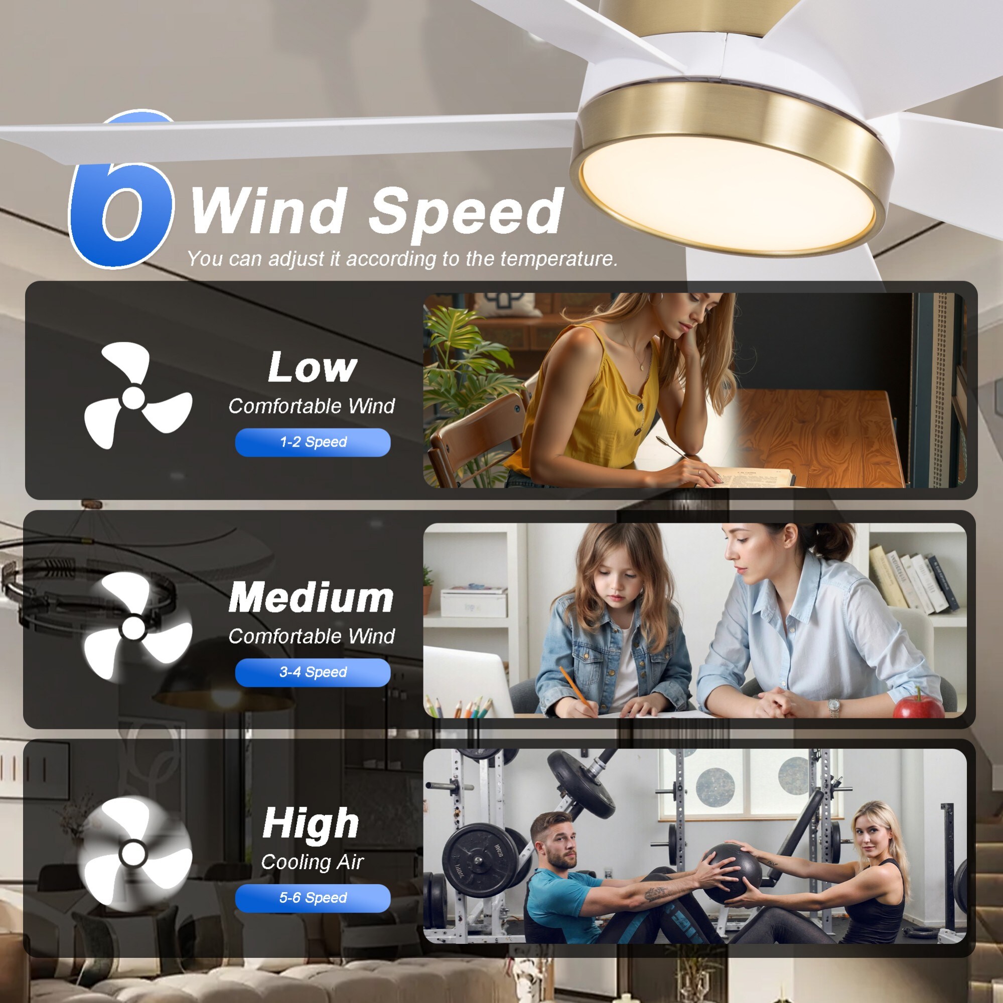 Sunrinx MG9-CF-16 Ceiling-Fans - View #11