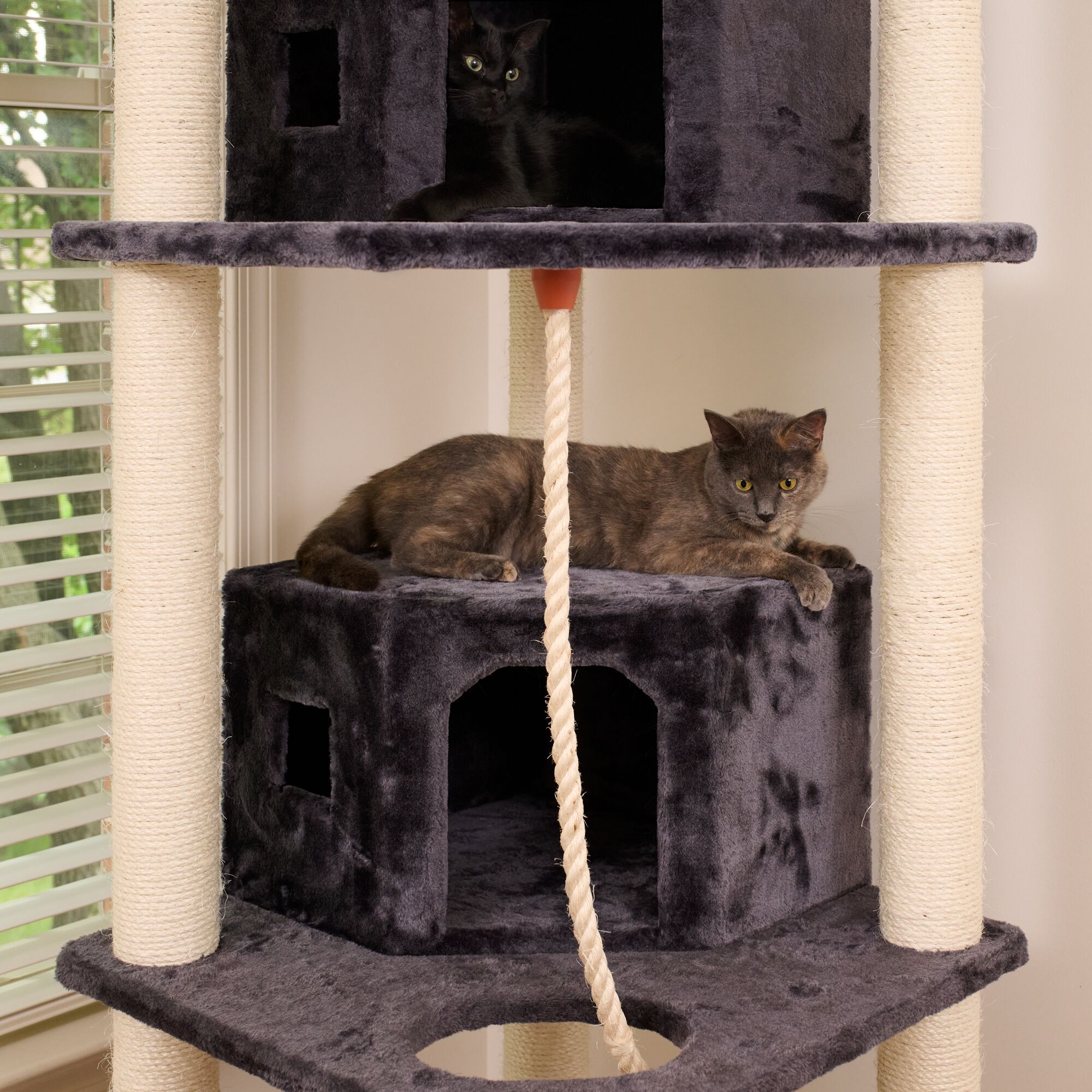 Armarkat A8202 Cat-Trees - View #5