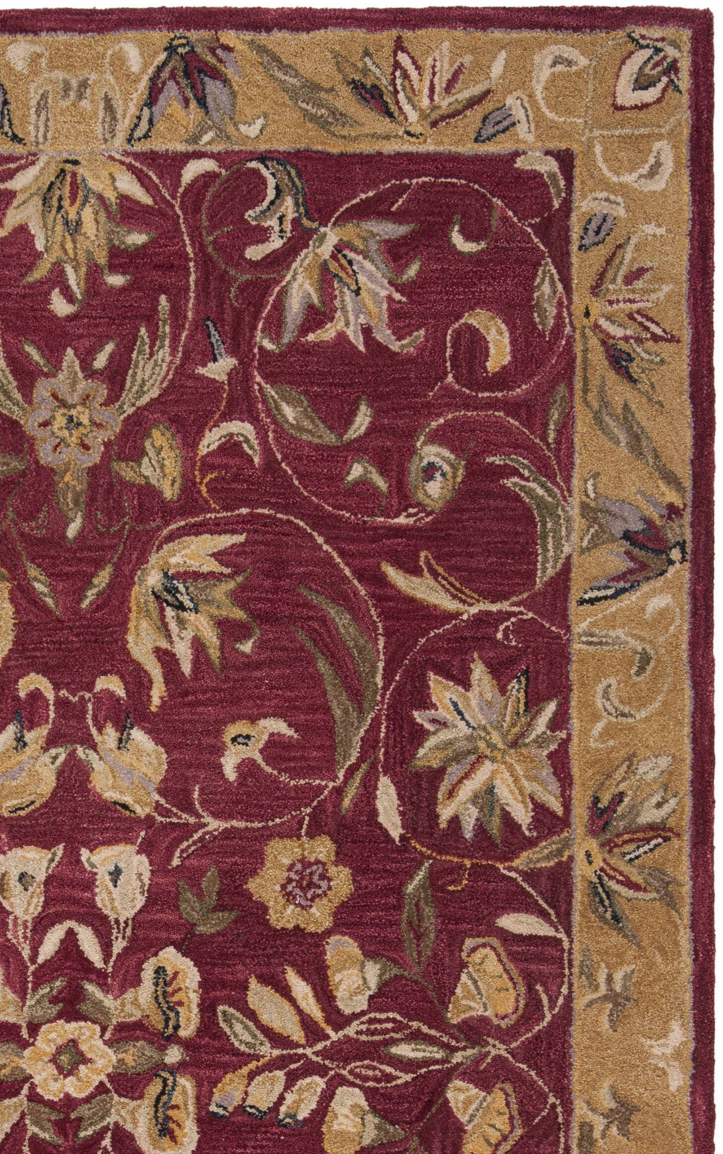 Safavieh AN526A-5 rugs - View #4