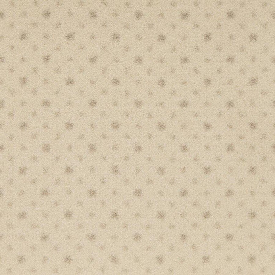 STAINMASTER 2710018348 (Sample) Angora Carpet