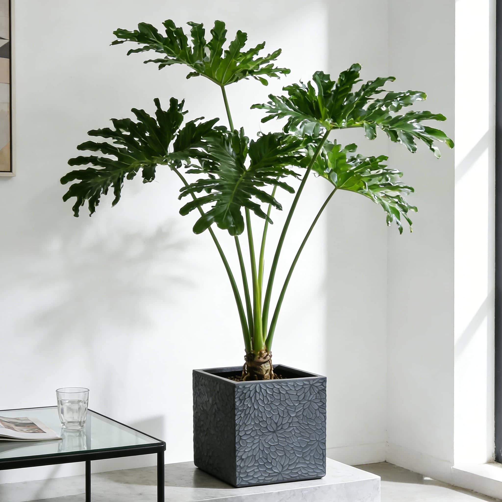 Vynxaria LEXY4496DJHWHYP046 Planter-Window-Box - View #4