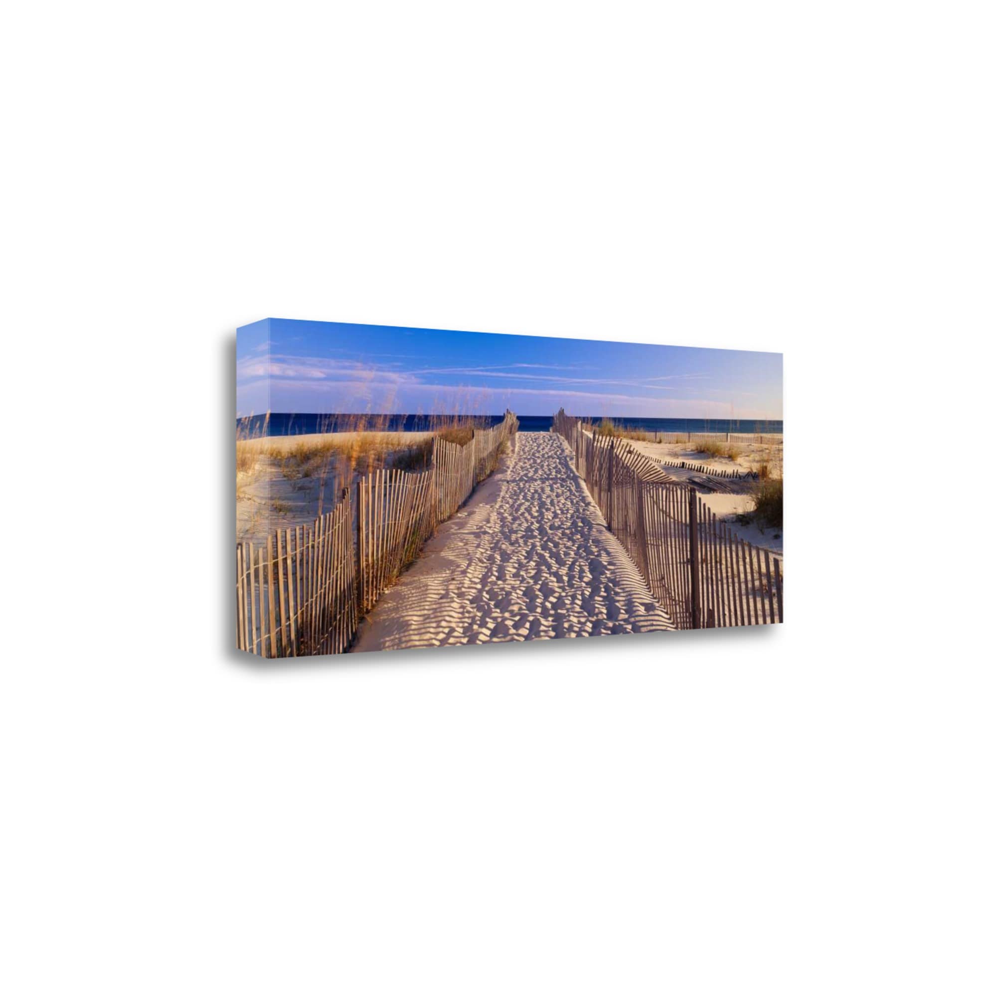 Tangletown Fine Art ICS975D-4820C Pathway To The Beach Joseph Sohm 20-in H x 47-in W Photography Print on Canvas