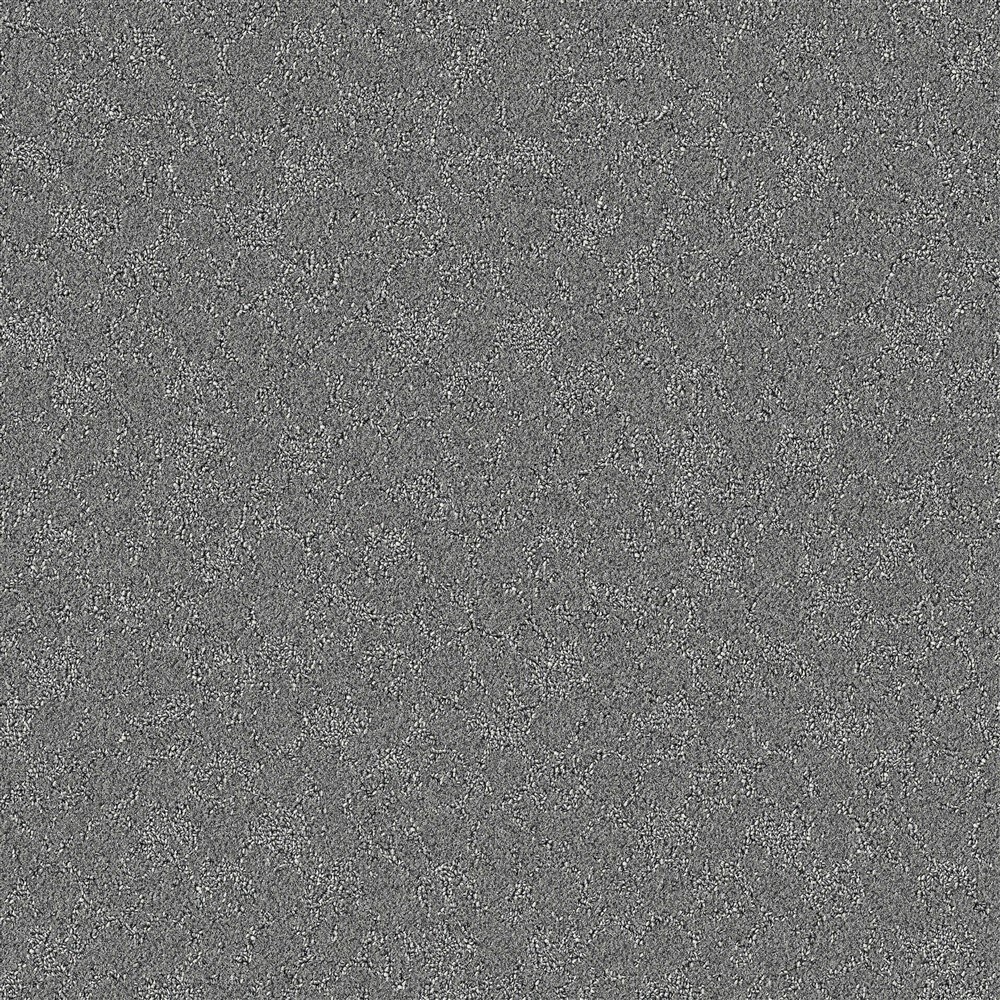 STAINMASTER PetProtect LU773-9513F (Sample) Family Member Obscured Sky Gray 35-oz sq yard Nylon Pattern Indoor Carpet