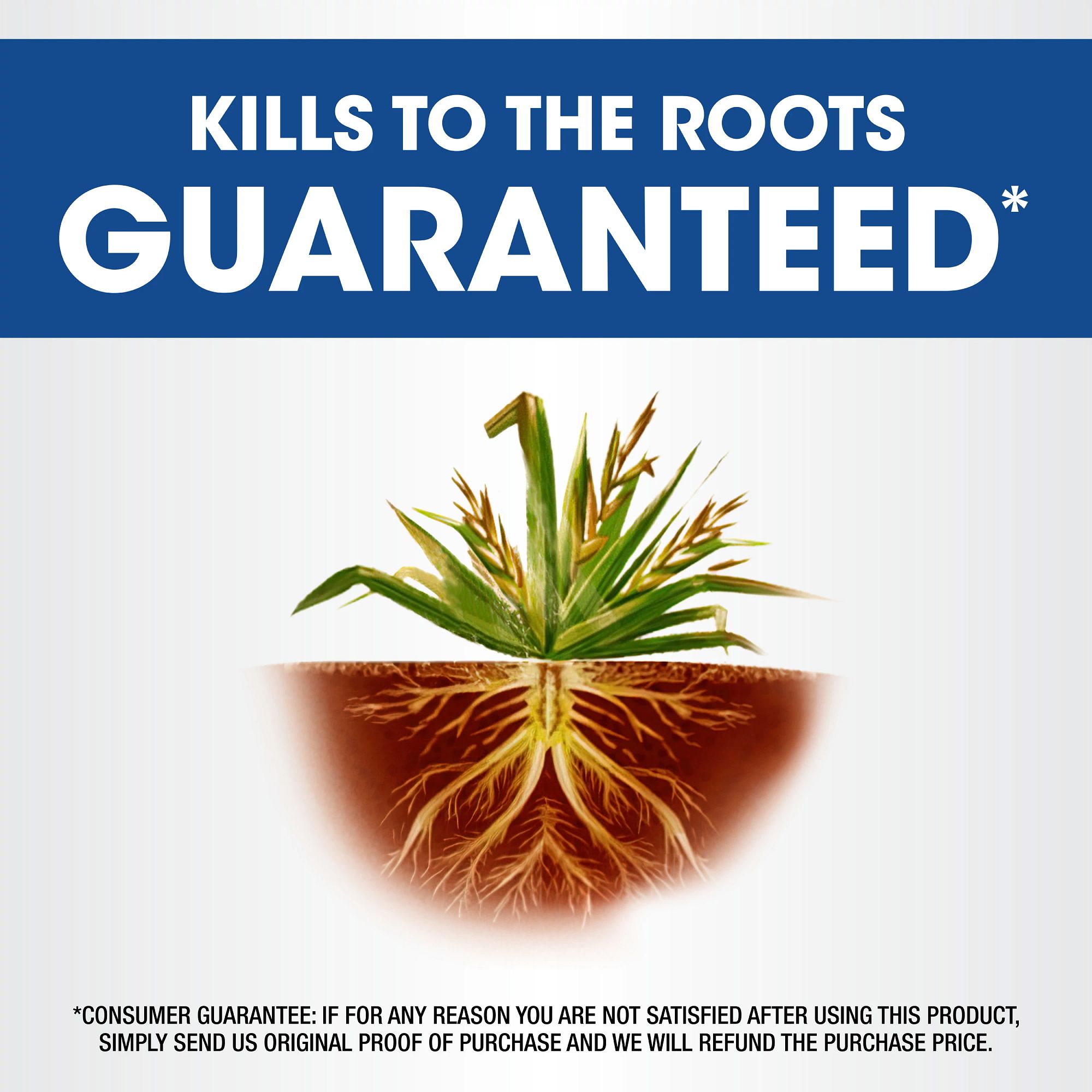 Roundup 5378004 Weed-Killers - View #5