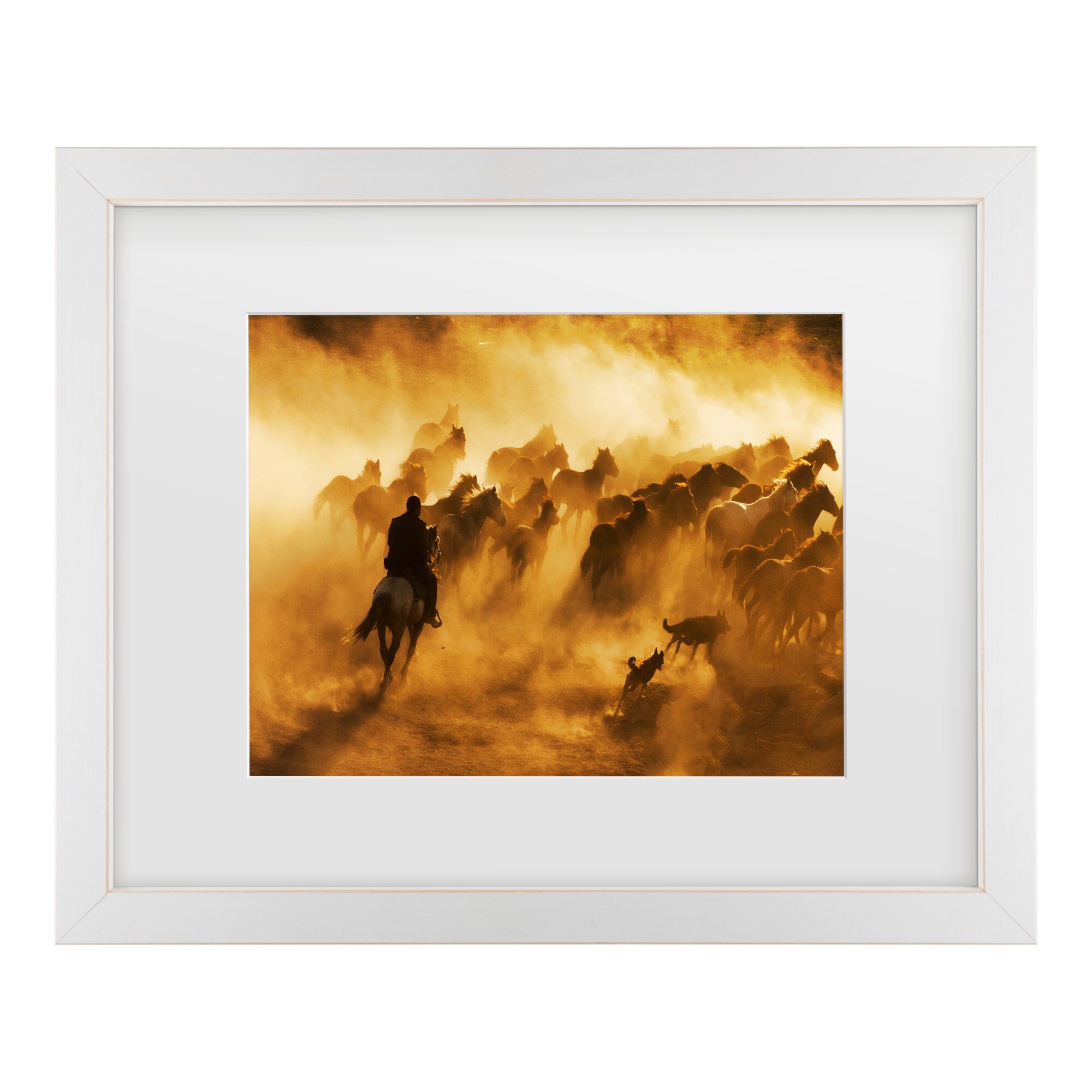 Trademark Fine Art 1X10860-E1620MF Wall-Art - View #2