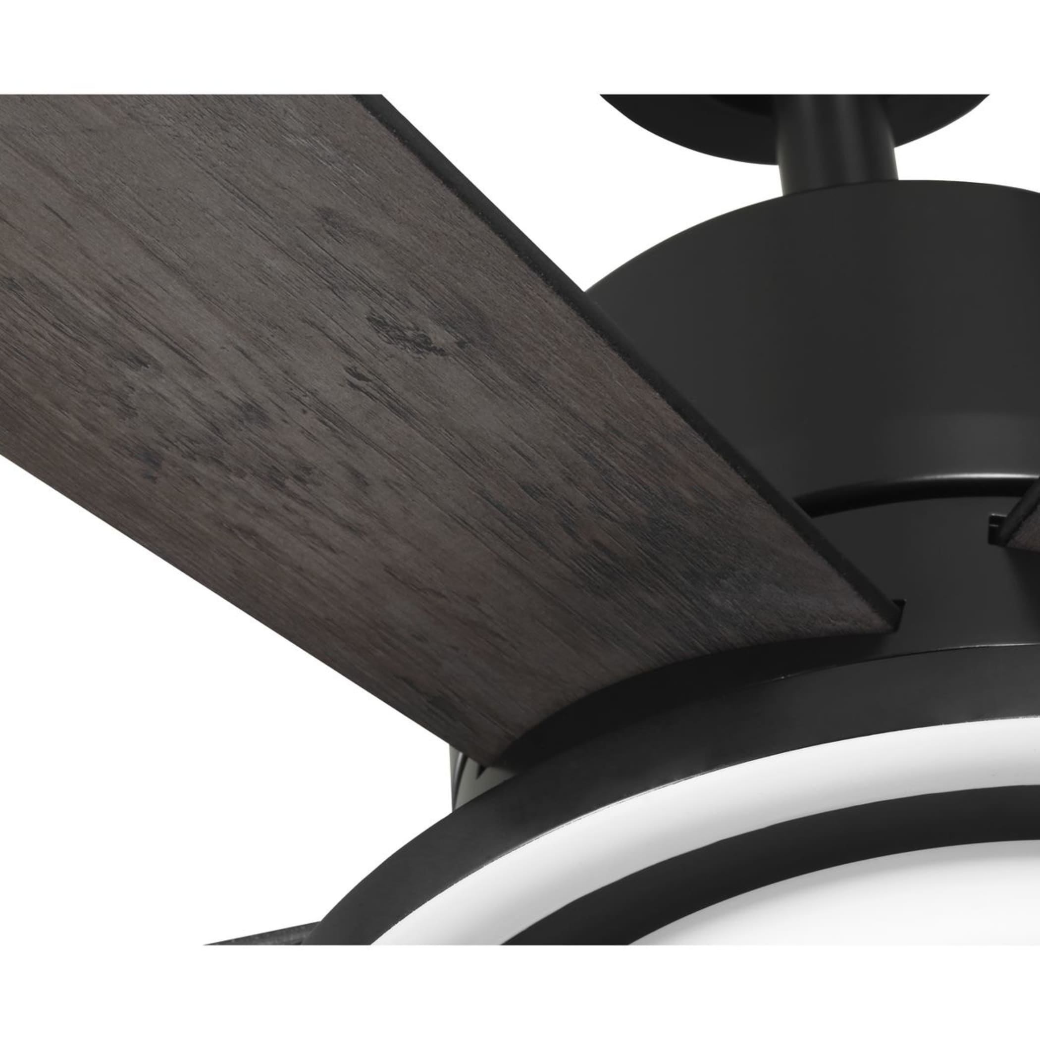 Progress Lighting P250102-31M-CS Ceiling-Fans - View #6