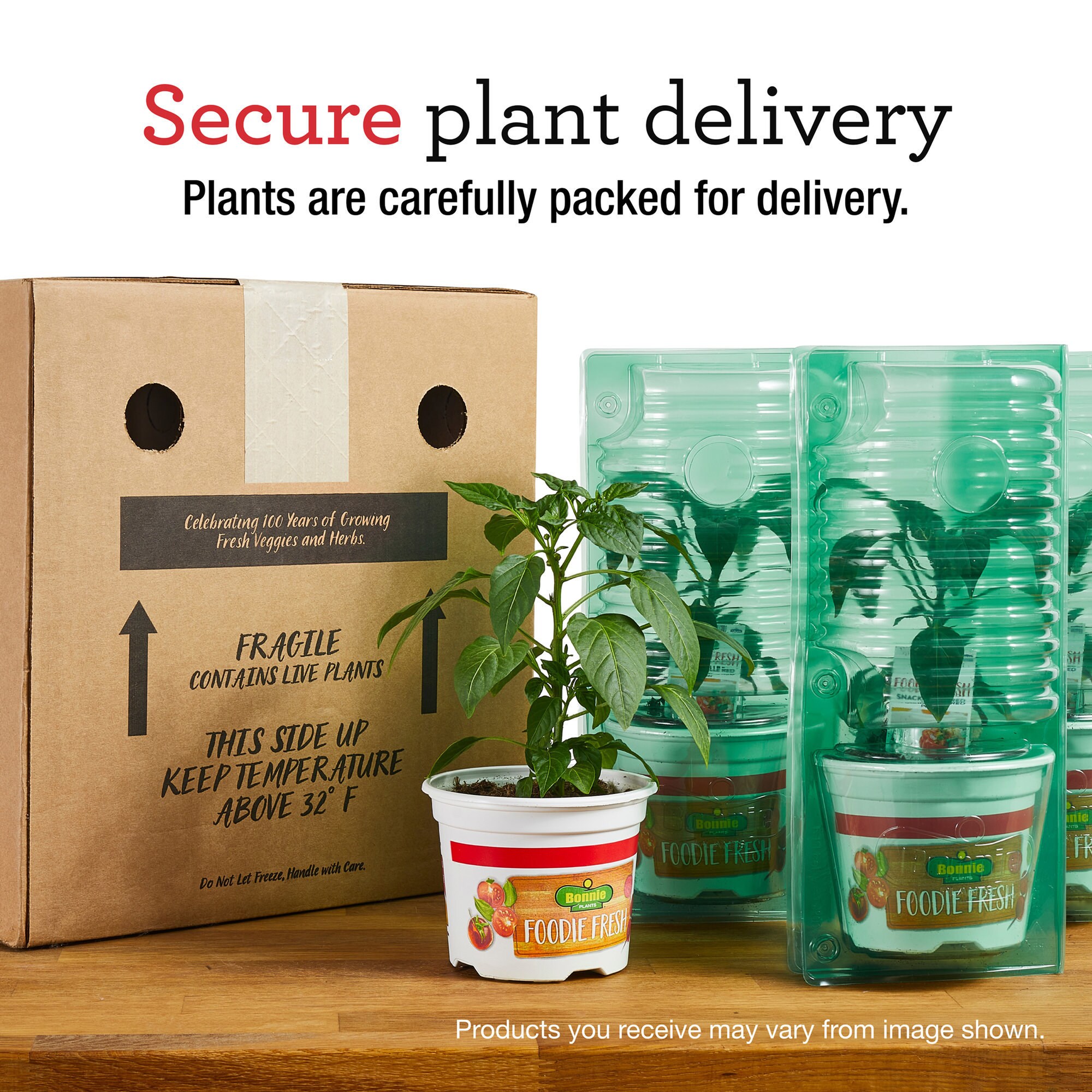 Bonnie Plants 202057 Vegetable-Plants - View #8