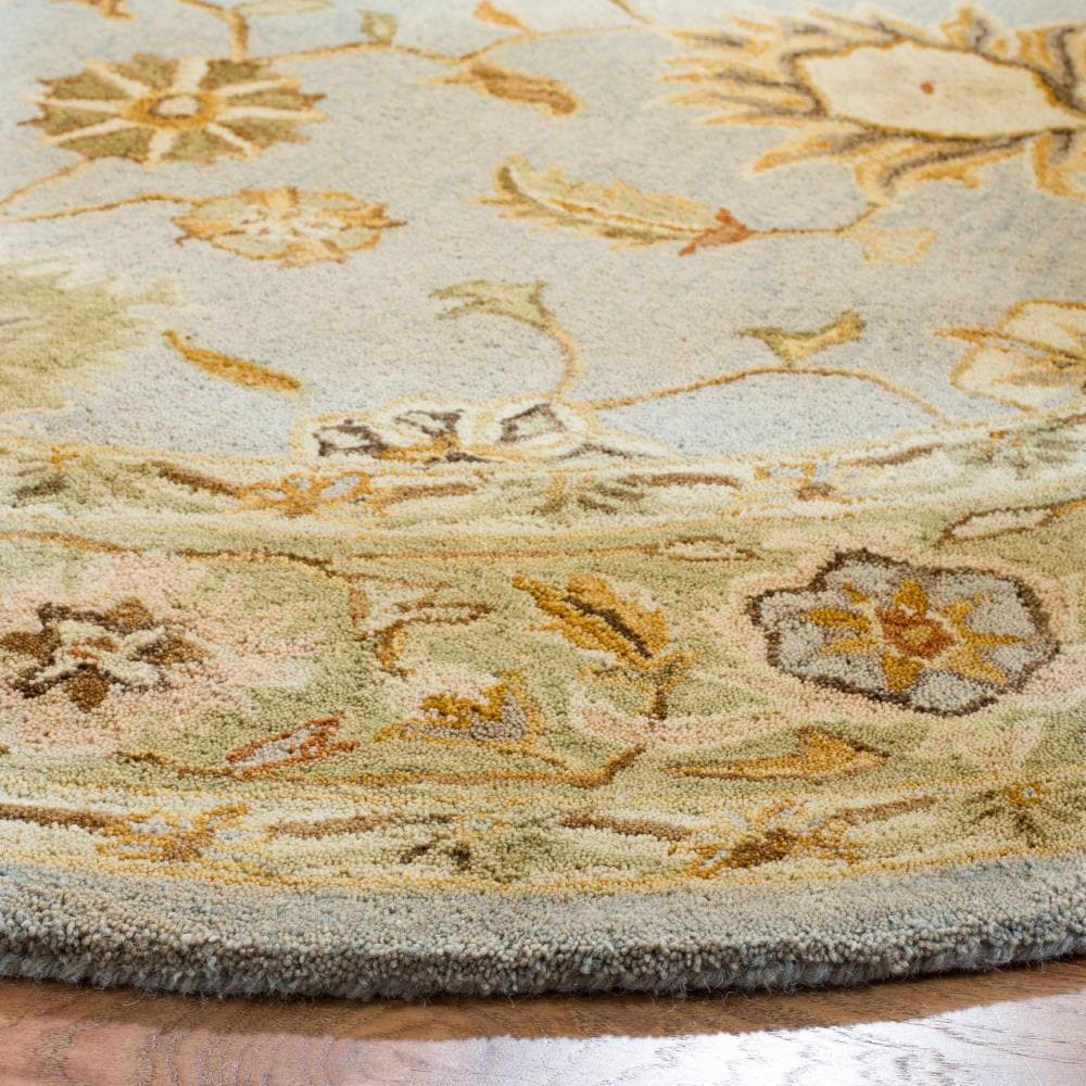 Safavieh AN556B-6R rugs - View #3
