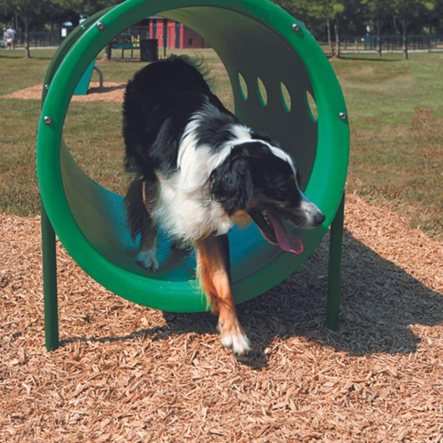 UltraPlay Natural Green and Beige Dog Park Crawl Tunnel in the