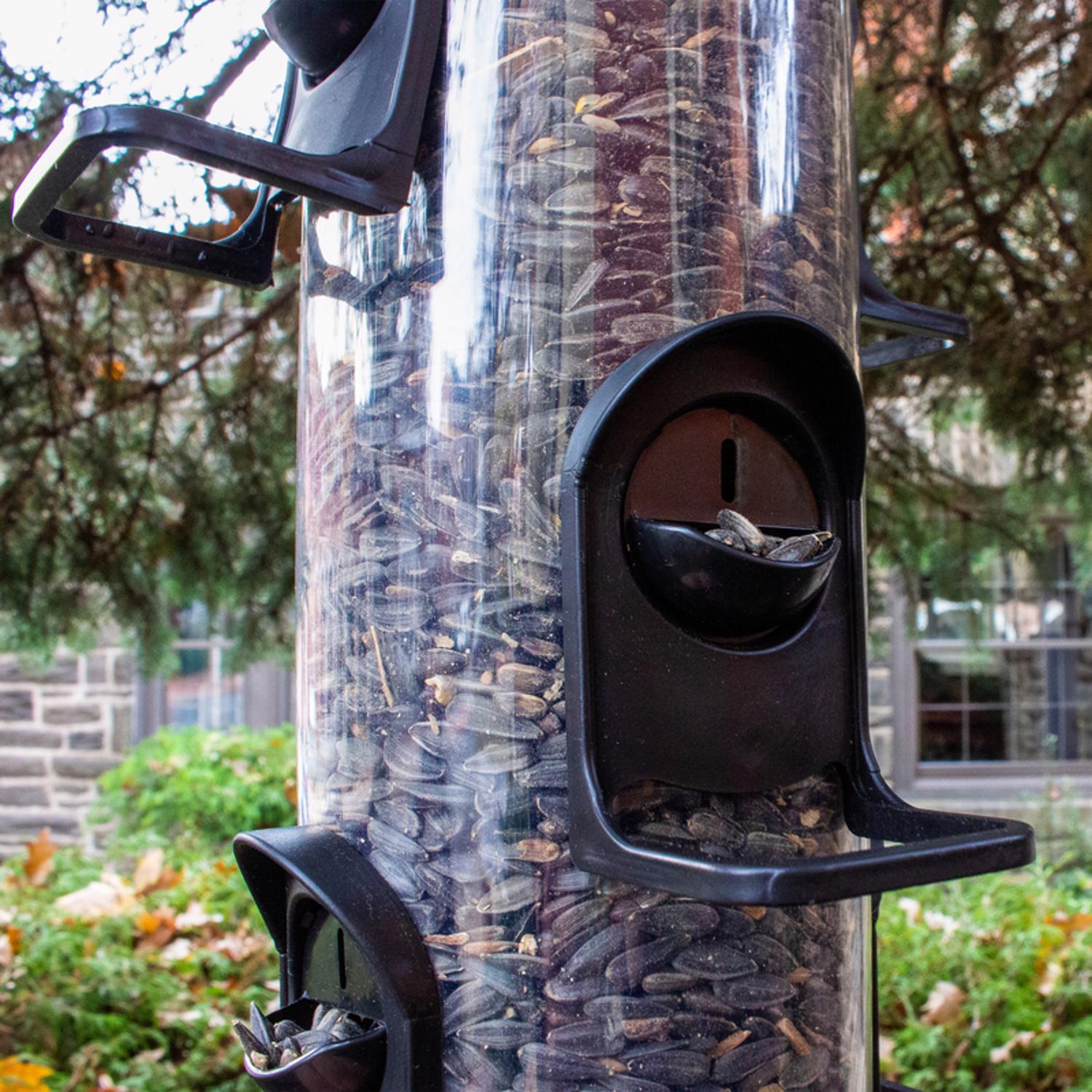 Perky-Pet EJD8039819 Bird-Feeders - View #2