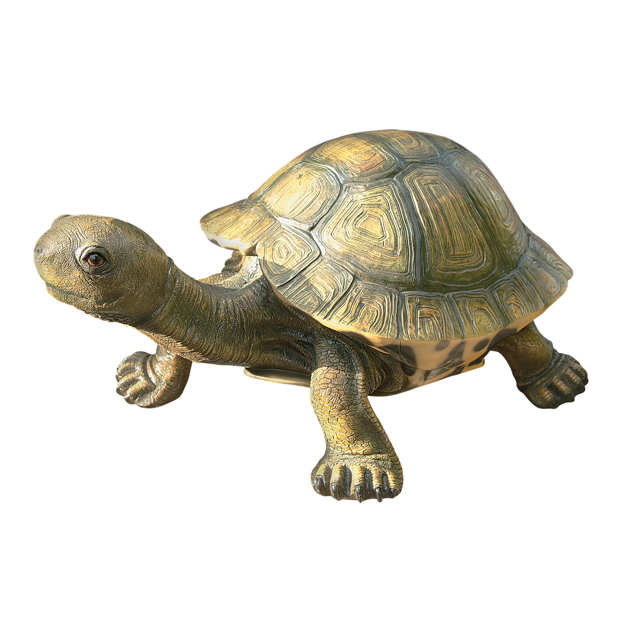 Design Toscano 13-in H x 29-in W Multiple Colors/Finishes Turtle Garden ...