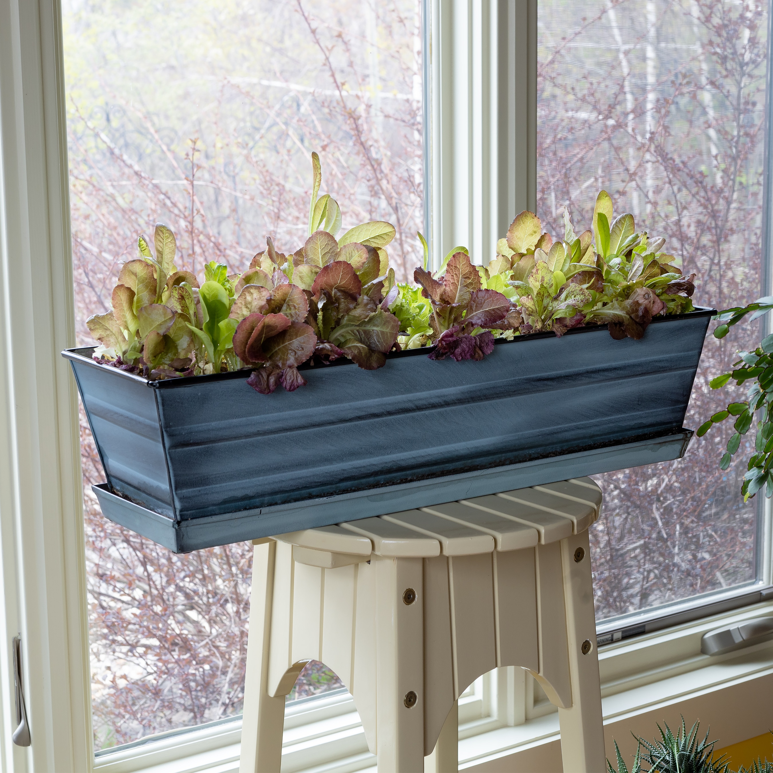 ACHLA Designs C-08NB-T Planter-Window-Box - View #2