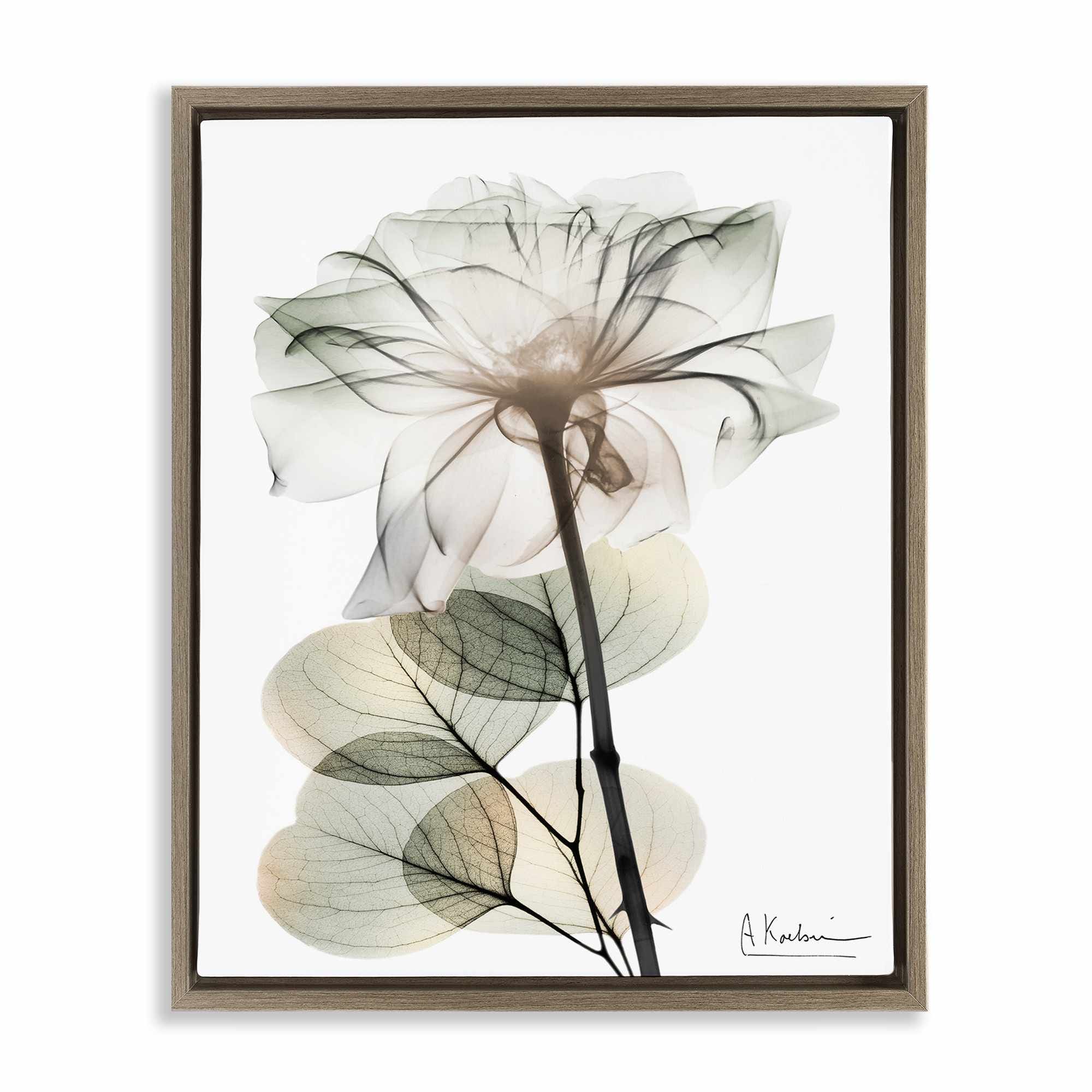 Stupell Industries BS-011-FFE-16X20 Modern Minimalist Buds Brown Framed Floater Canvas Wall Art By Albert Koetsier 17 x 21