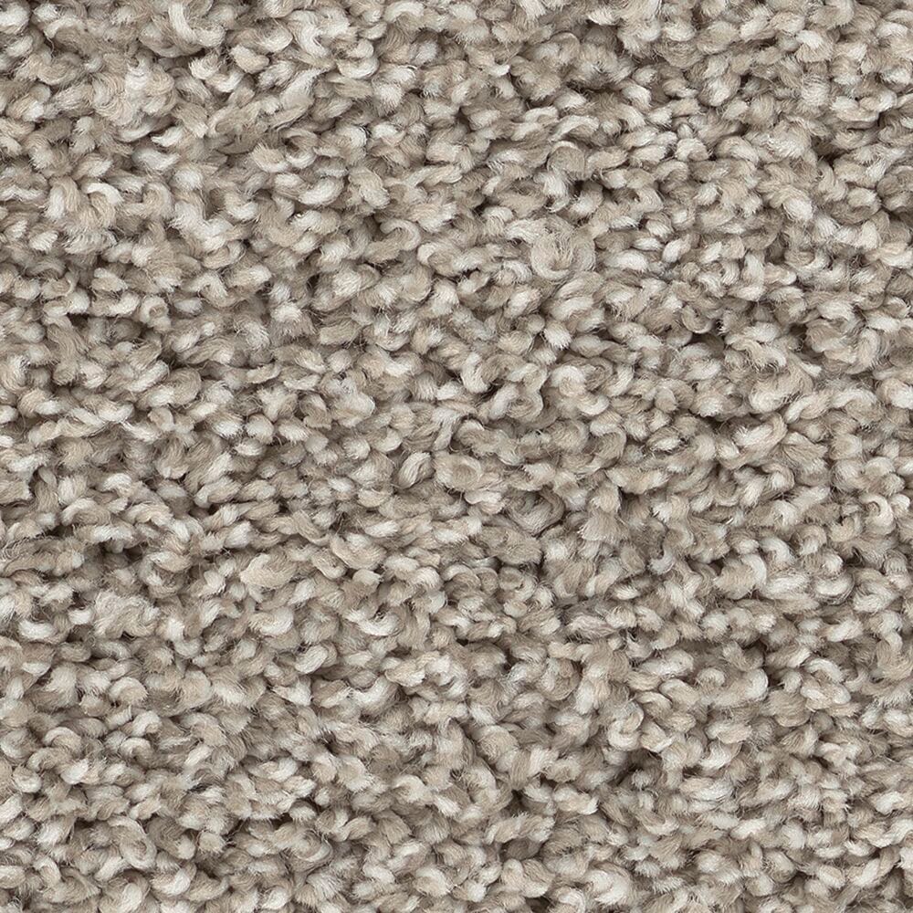 STAINMASTER PetProtect 7L96500125 with LeakDefense Pet Parade I Landscape Brown 43.9-oz sq yard High-performance polyester Textured Indoor Carpet