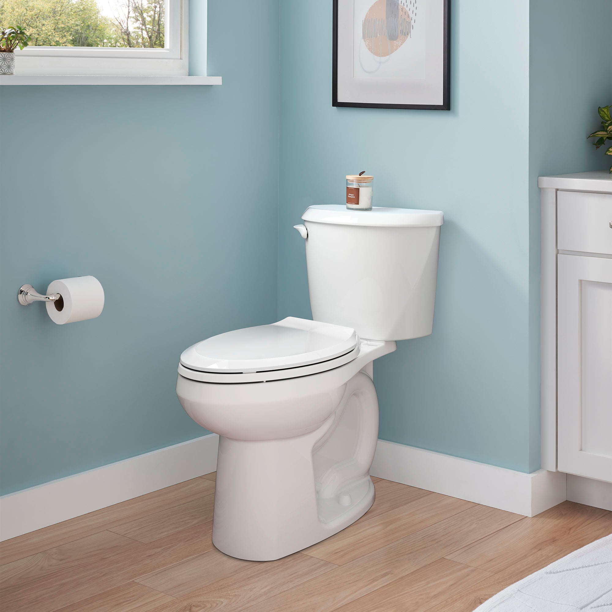 American Standard 3437A101.020 toilets - View #4