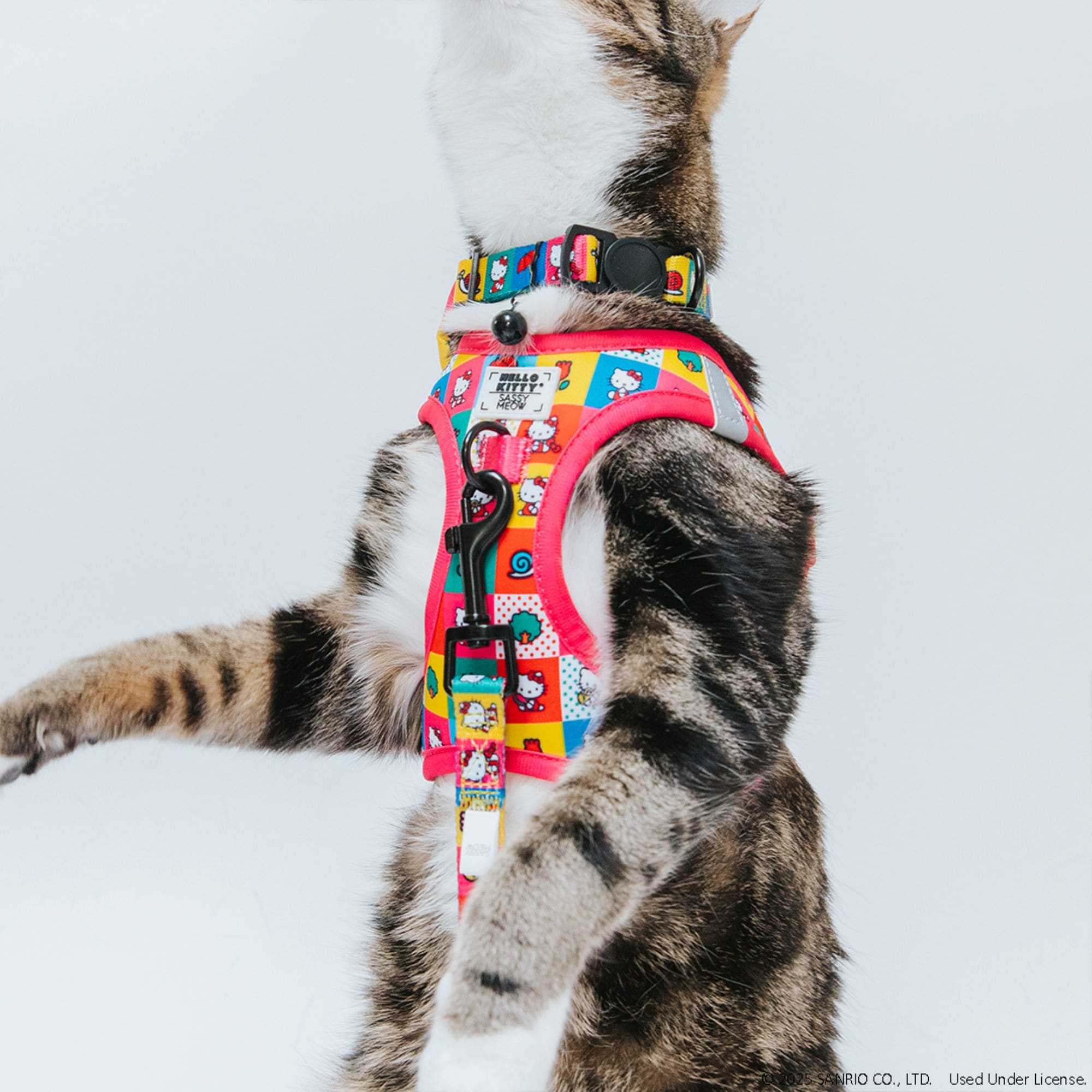 Sassy Meow PINK H KITTY H S Dog-Collars-Harnesses - View #3