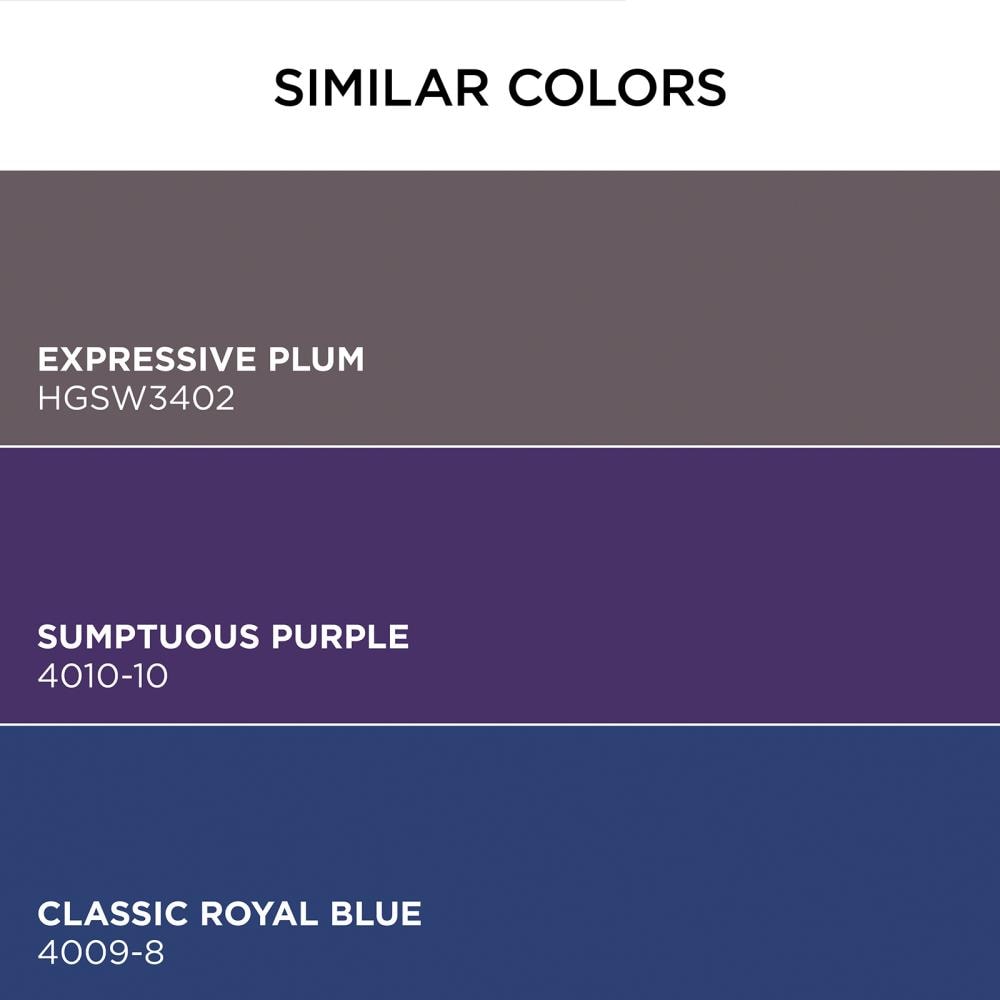HGTV HOME by Sherwin-Williams Ovation Plus Satin Sumptuous Purple