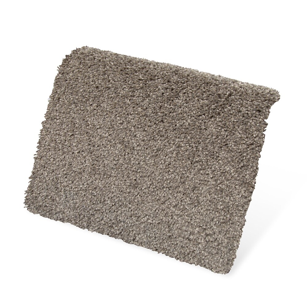 STAINMASTER SS011-12-L008 Carpet-Panel - View #3