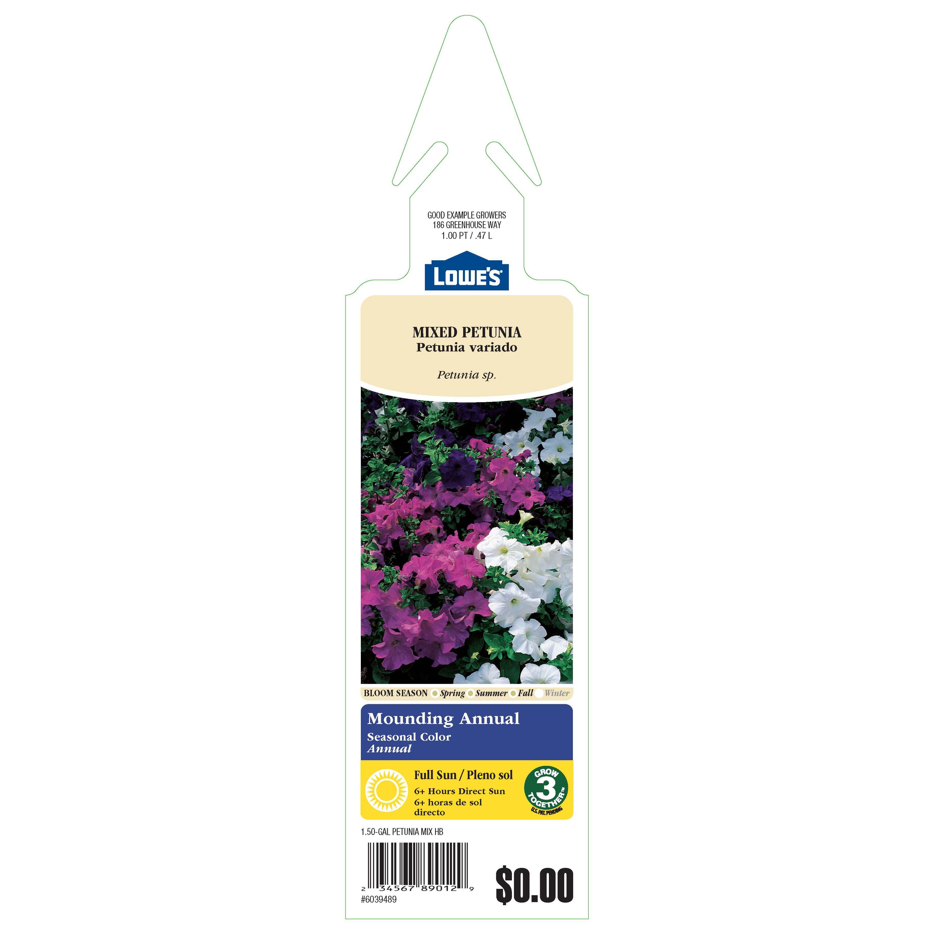  6039489 annuals - View #3