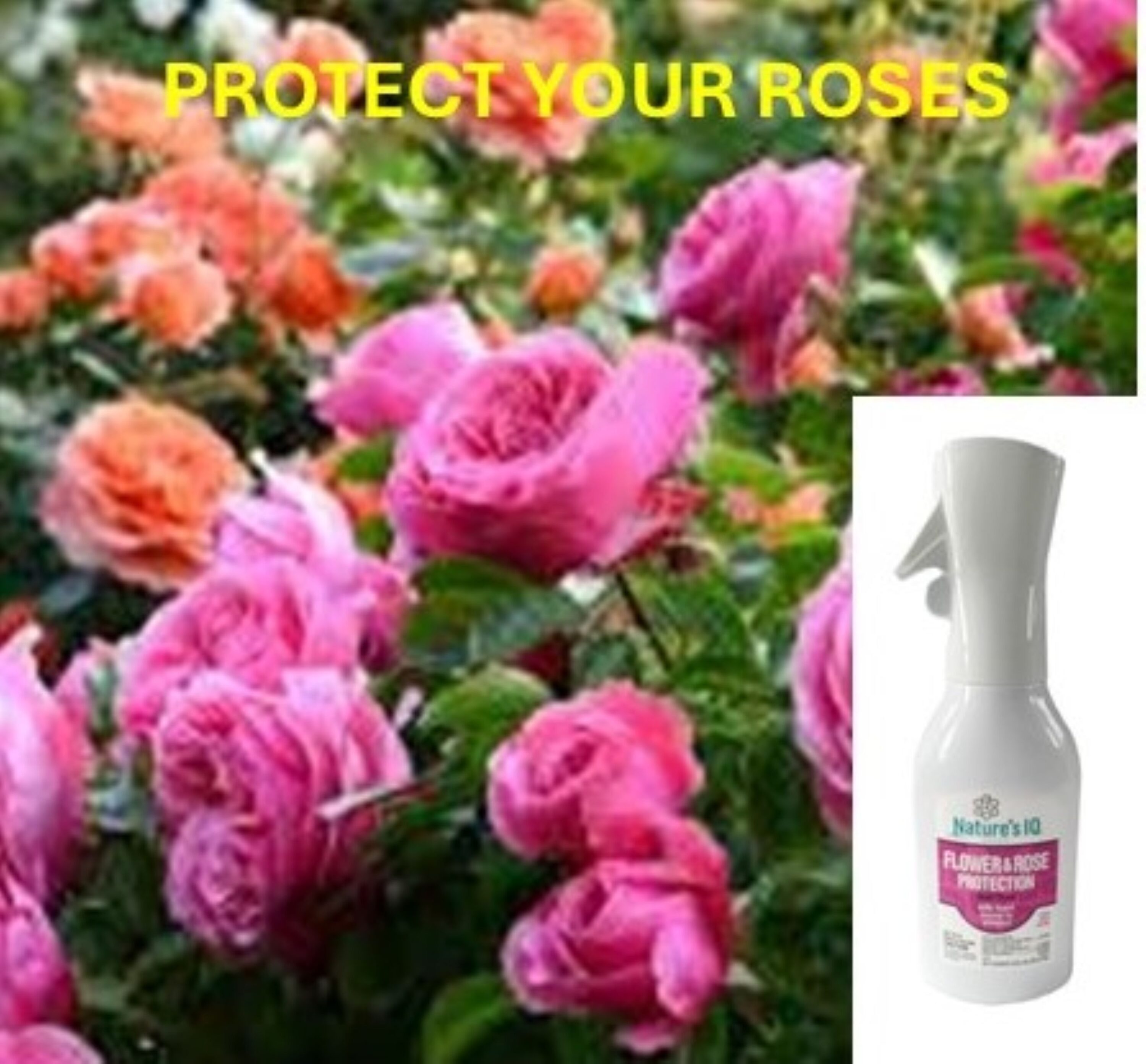 Nature’s IQ 93316 plantcare - View #6
