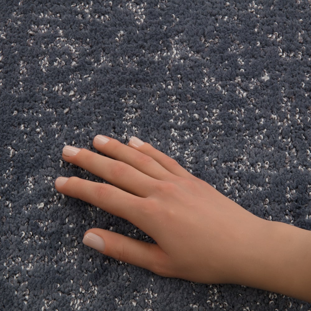 STAINMASTER PetProtect 7L97700402 Carpet-Panel - View #4