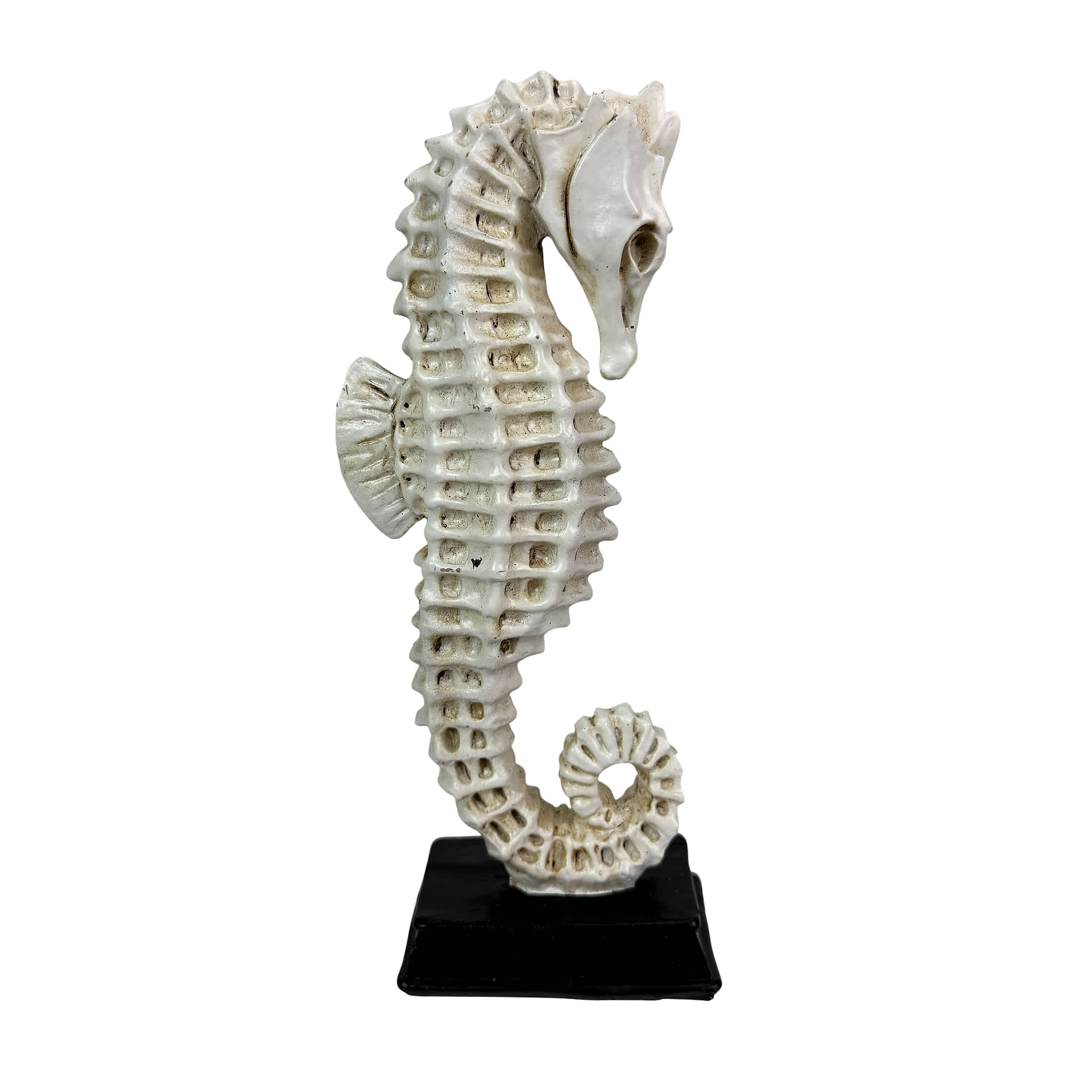 Fancy That Gift & Decor HAL87185 Decorative-Accessories - View #2