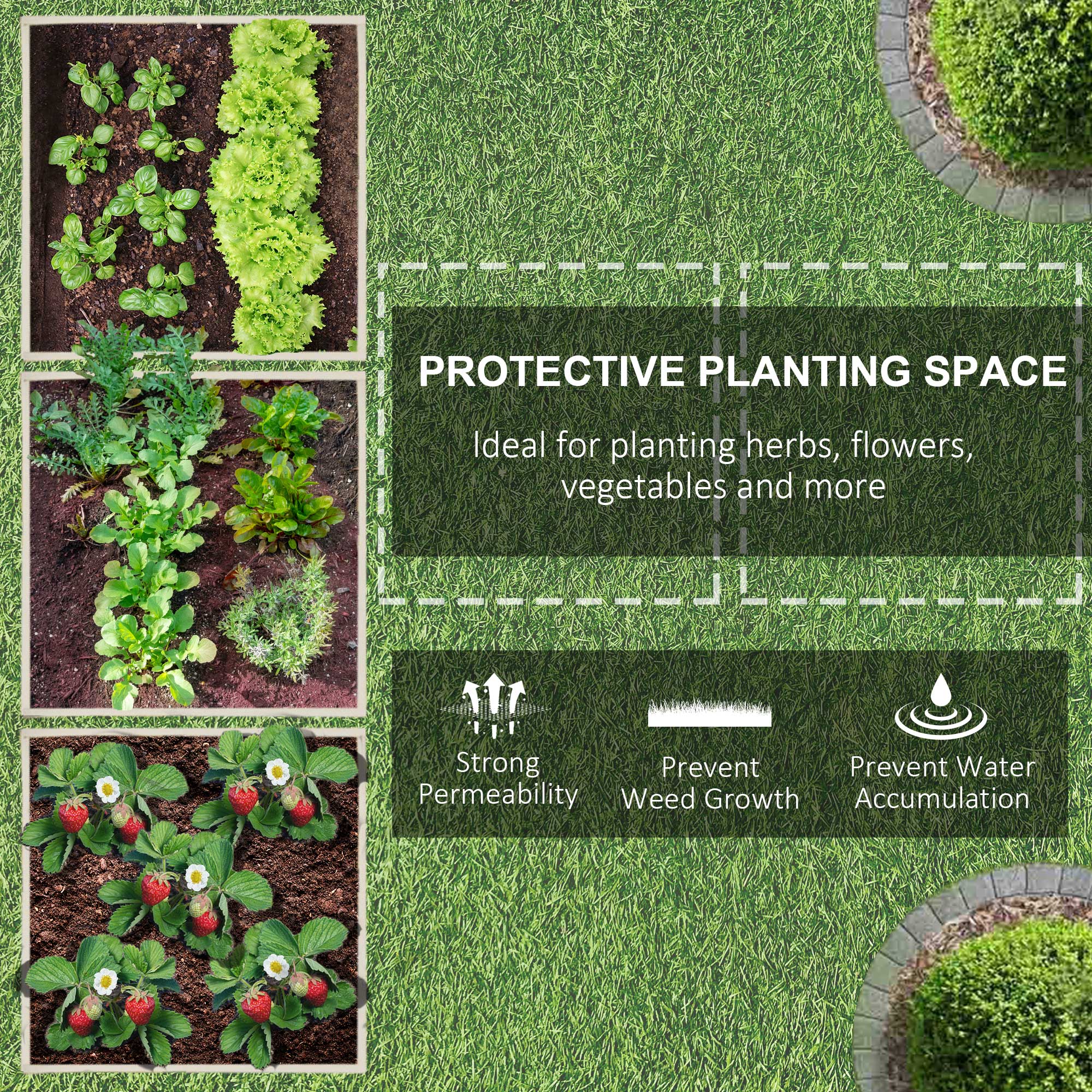 Damerin W214RA Raised-Garden-Beds - View #8