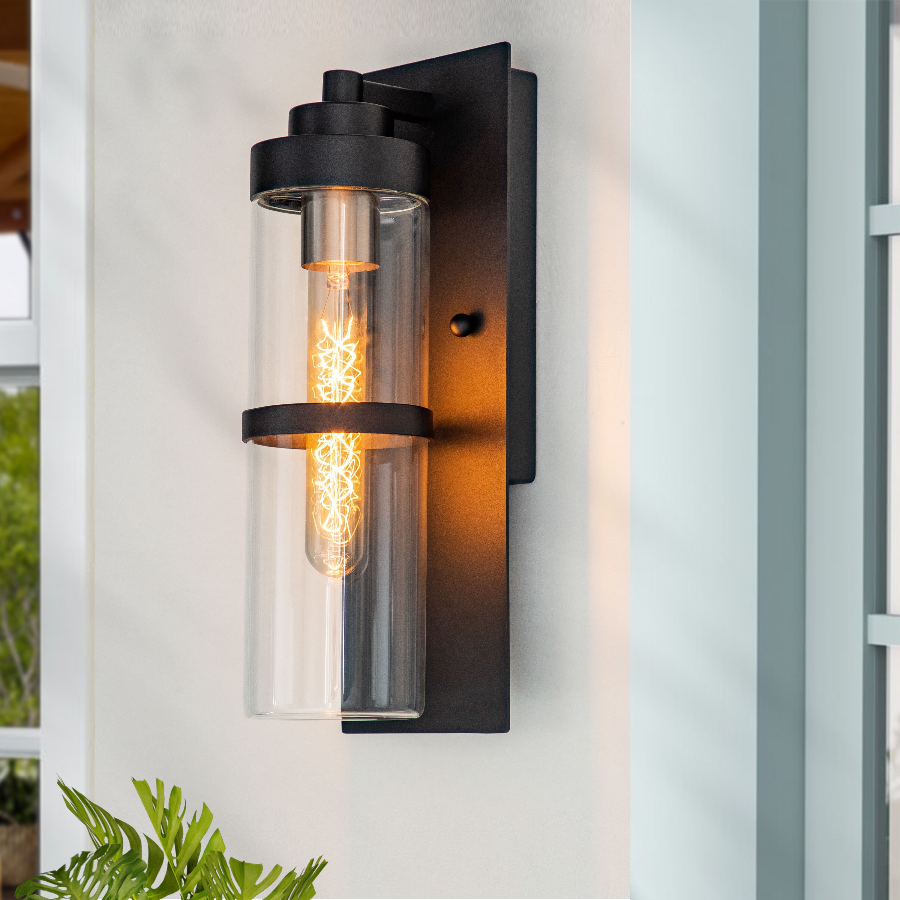 C Cattleya 1-Light 13.5-in Black; Outdoor Wall Light in the Outdoor ...