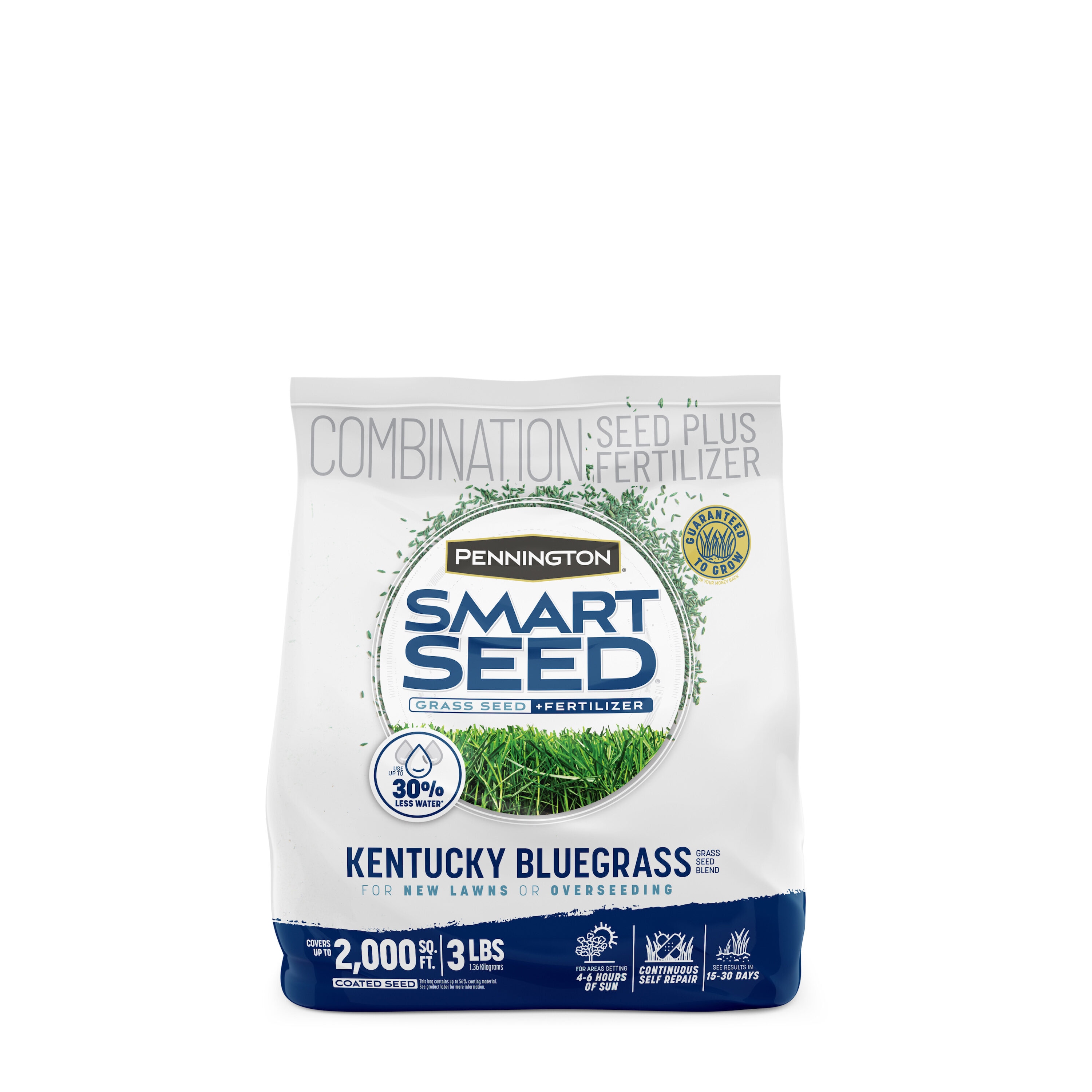 Pennington 100543705 Smart Seed 3-lb Kentucky bluegrass Grass Seed