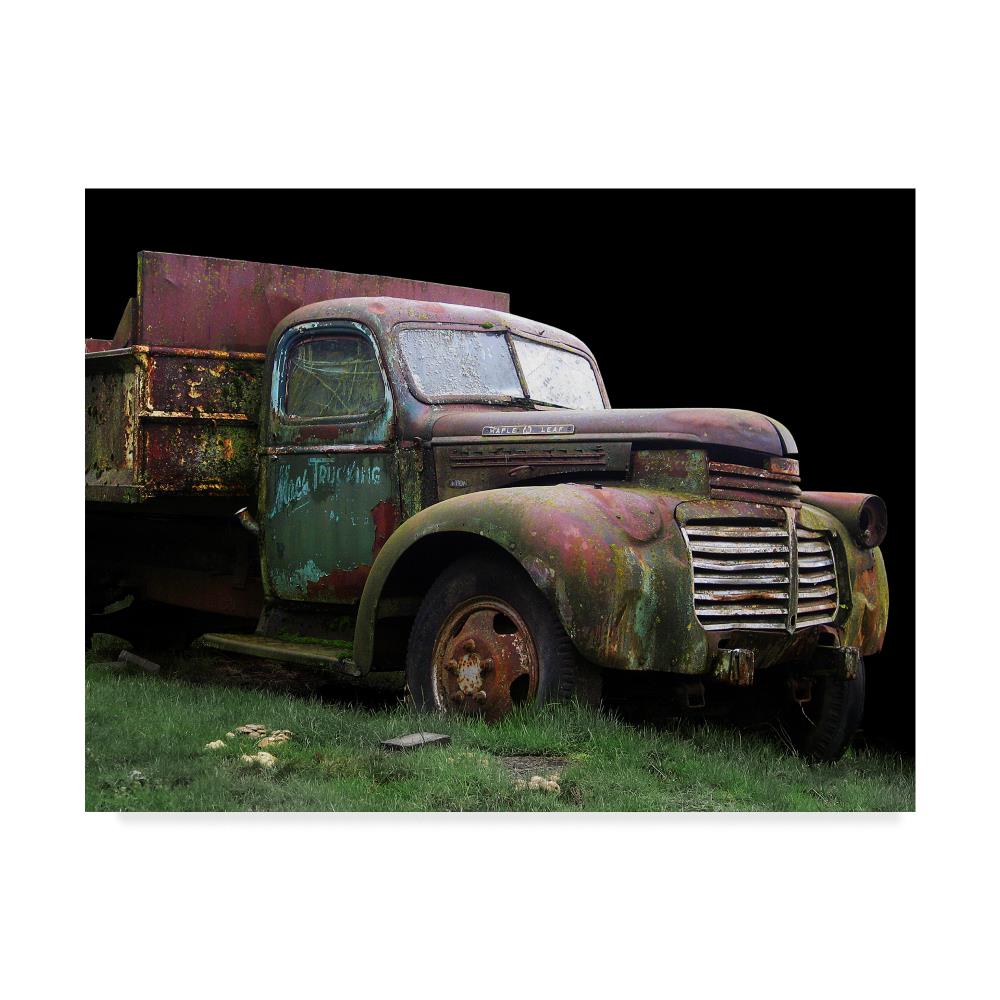 Trademark Fine Art ALI41873-C1824GG Framed 18-Inches H x 24-Inches W Vintage/Retro Canvas Print