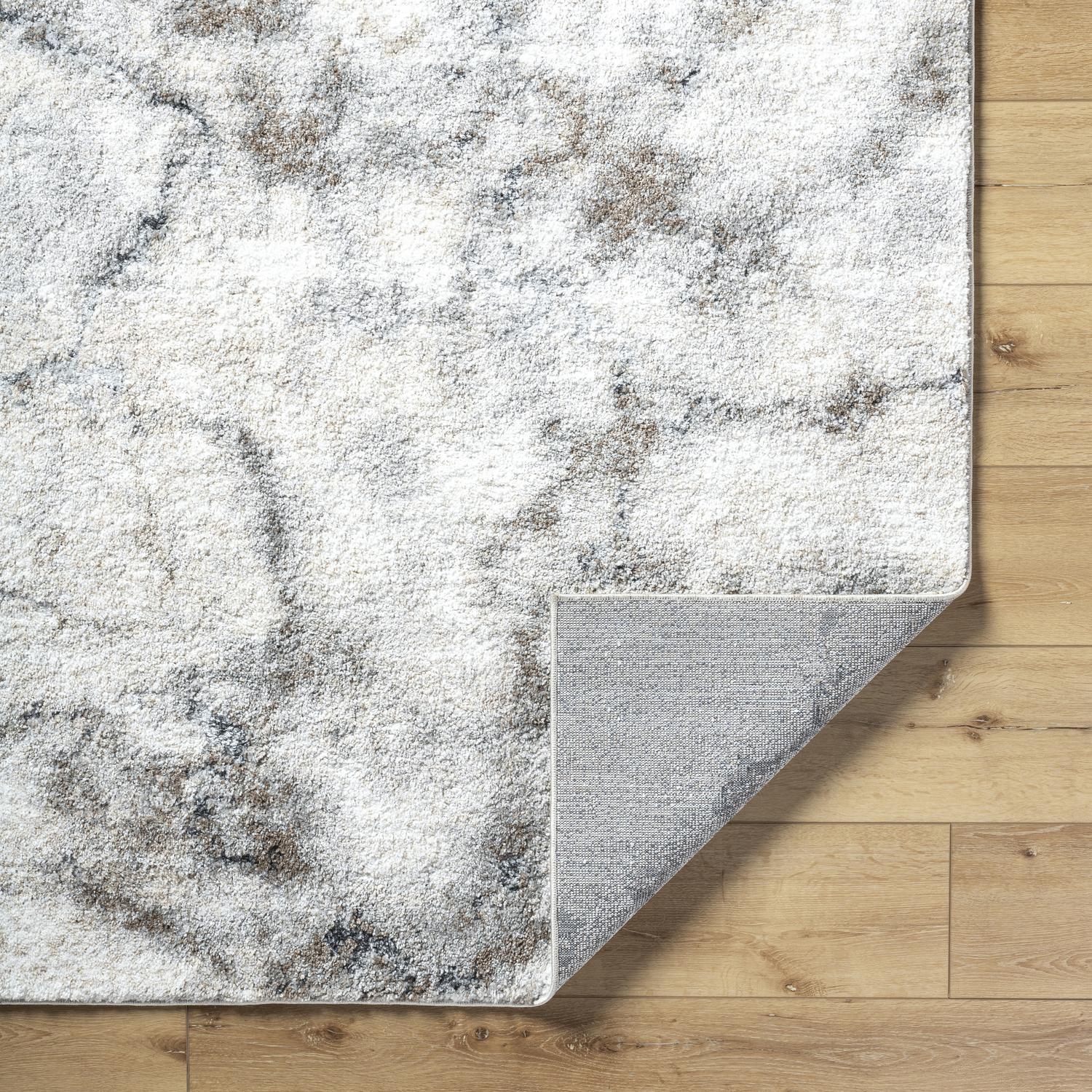 Livabliss PTF2318-71010 rugs - View #4