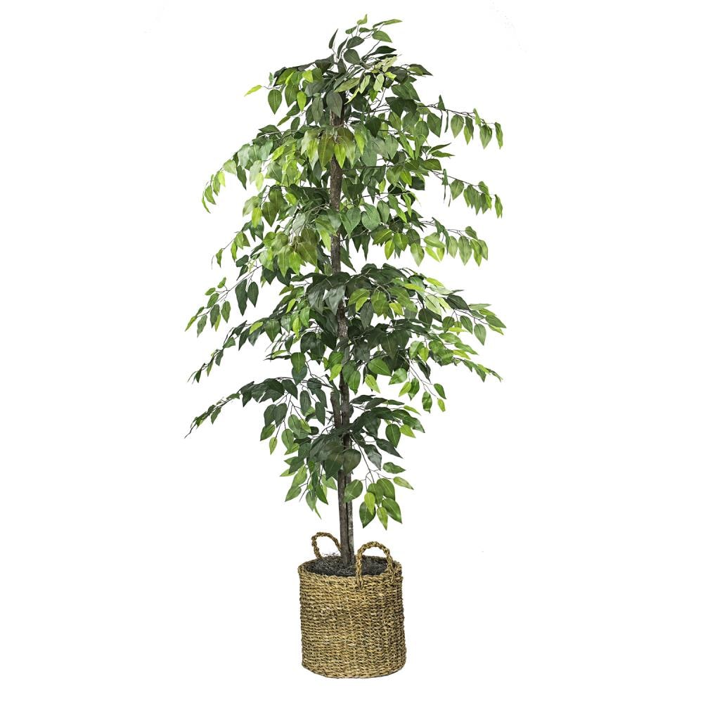 LCG 72-in Green Indoor Artificial Ficus Artificial Tree in the Artificial  Plants & Flowers department at