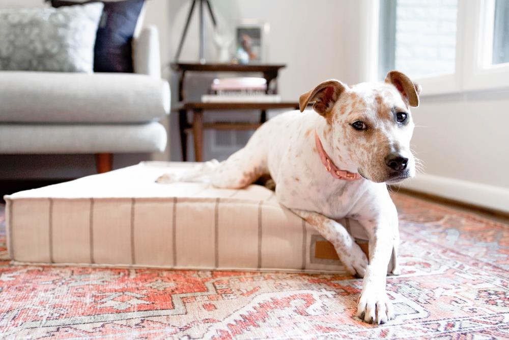 The Houndry 560005-L Pet-Beds - View #3