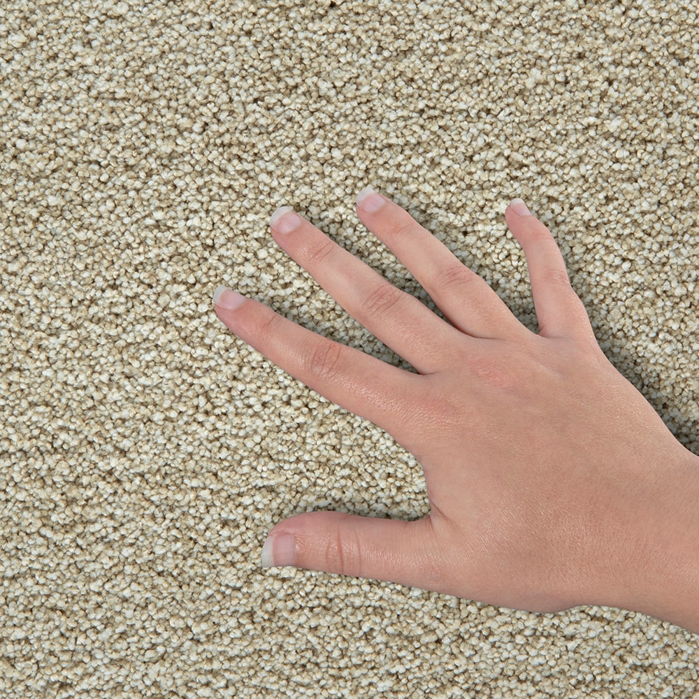 STAINMASTER PetProtect SS078-12-L001 Carpet-Panel - View #4