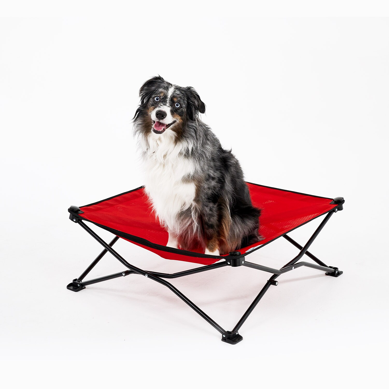 Coolaroo medium best sale dog bed